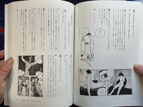 Hayashi Seiichi Manga Techniques by Aran Toochika, Kawakatsu Tokushige (2025)