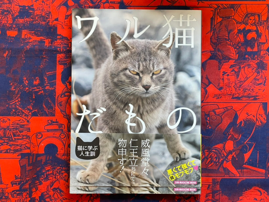 I'm A Bad Cat by Minamihaba Shunsuke (2016)