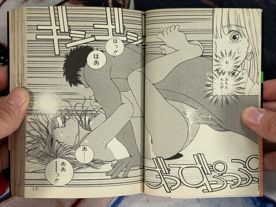 Fighting Lady (Bunko Edition) by Eri Mitsushima (1994)