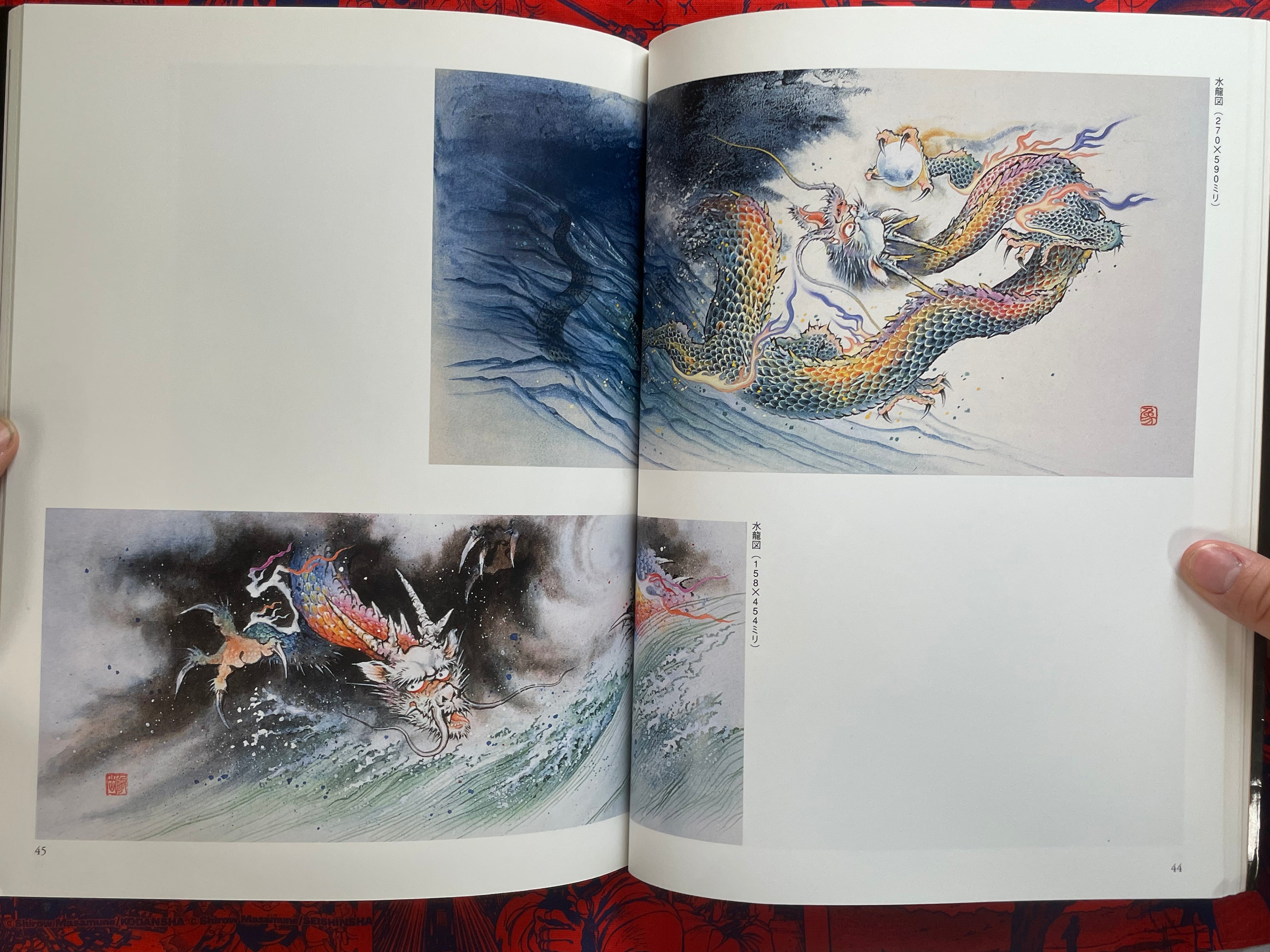 The World of Dragon Art by Emoto Shogaku (2008)