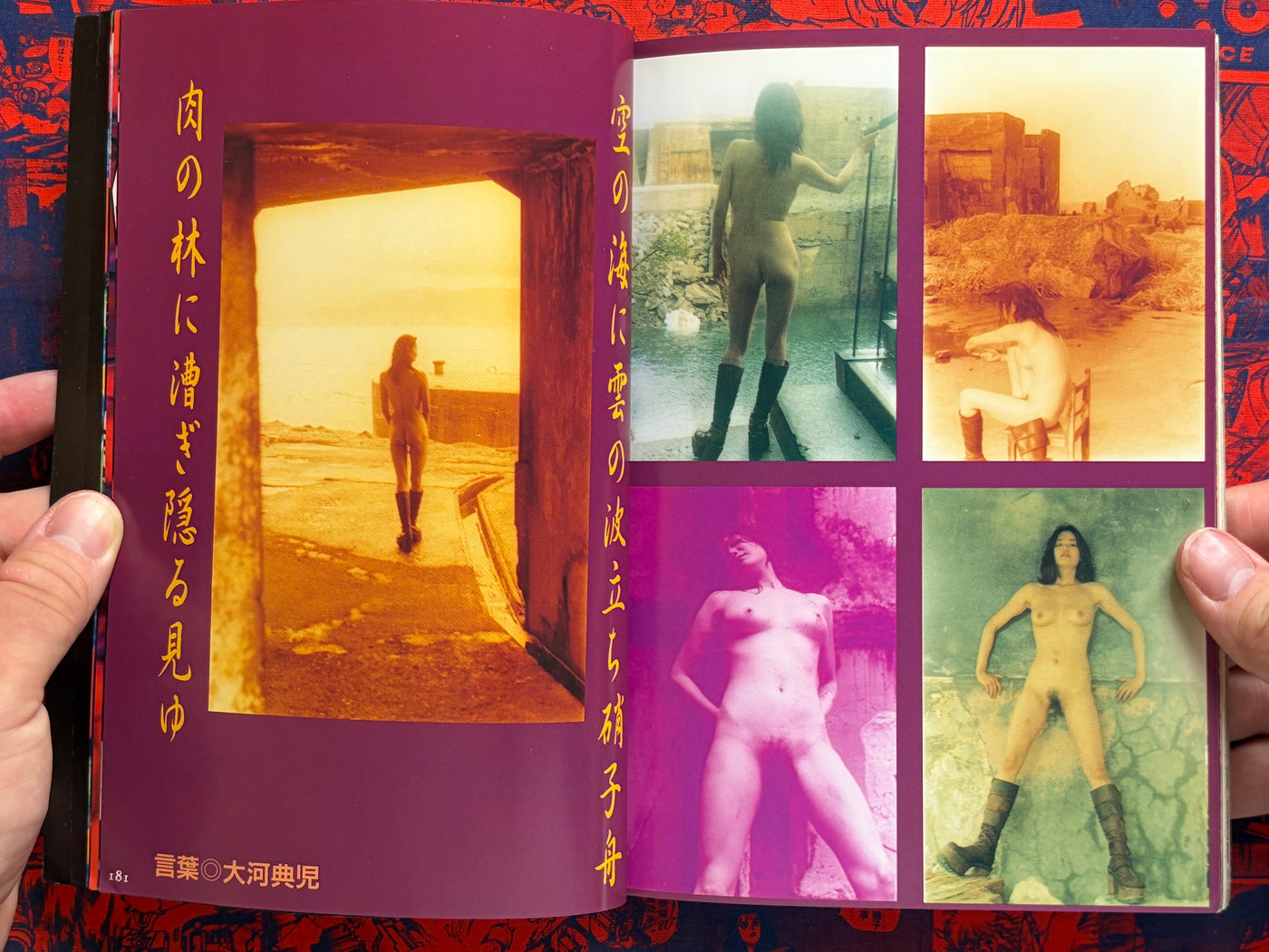 Anatomia Magazine Vol. 7 (1997)