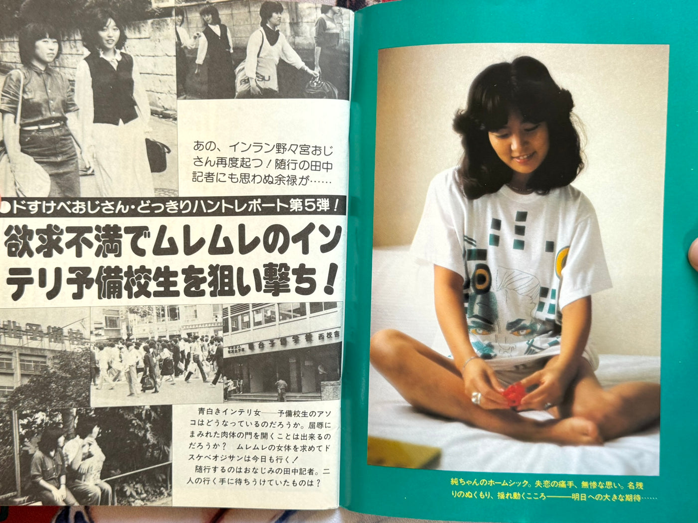 Pink Box Magazine Vol. 11 (1970s?)