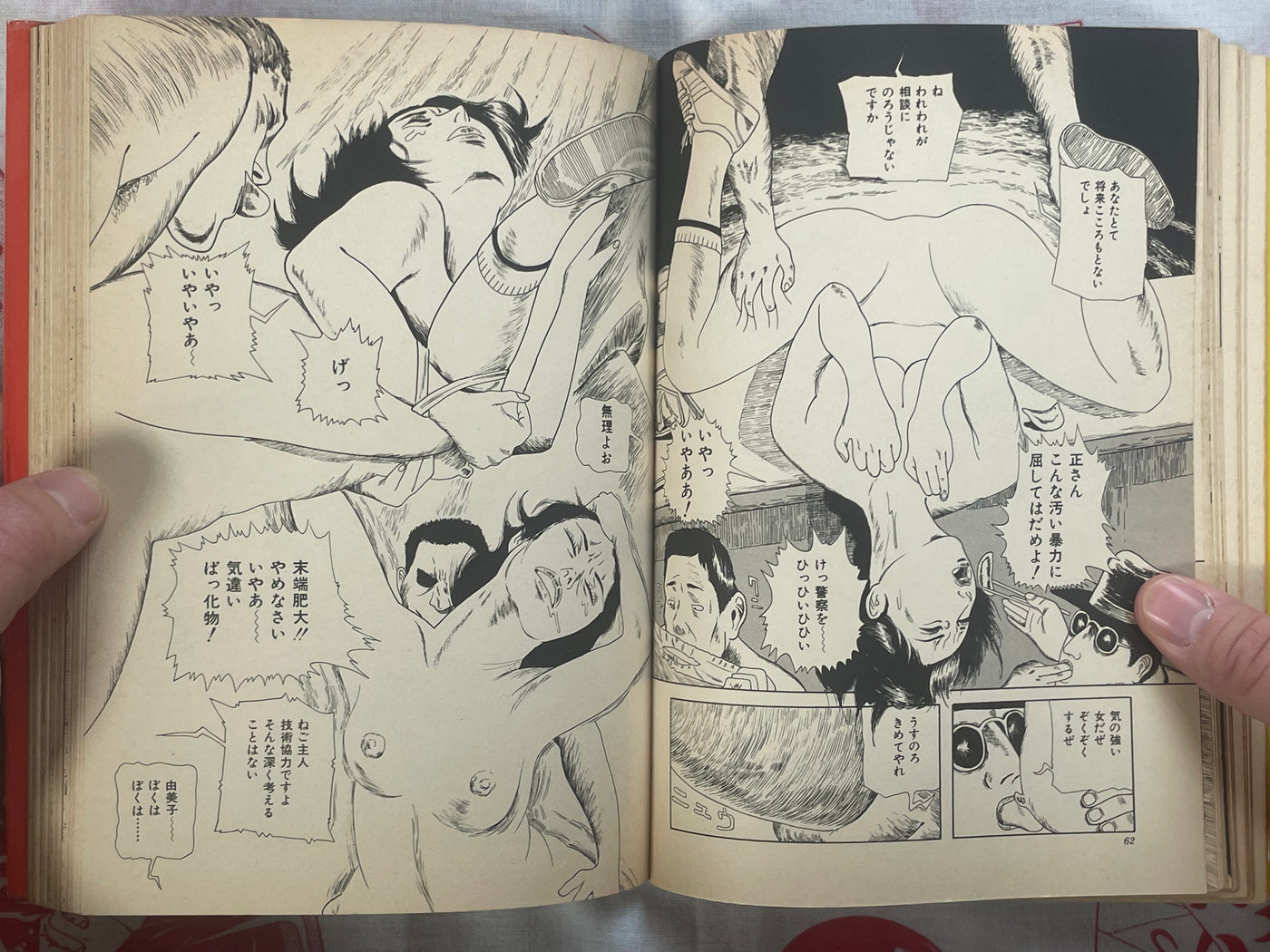 Cosmos Hill by Hiromi Hiraguchi (1978)