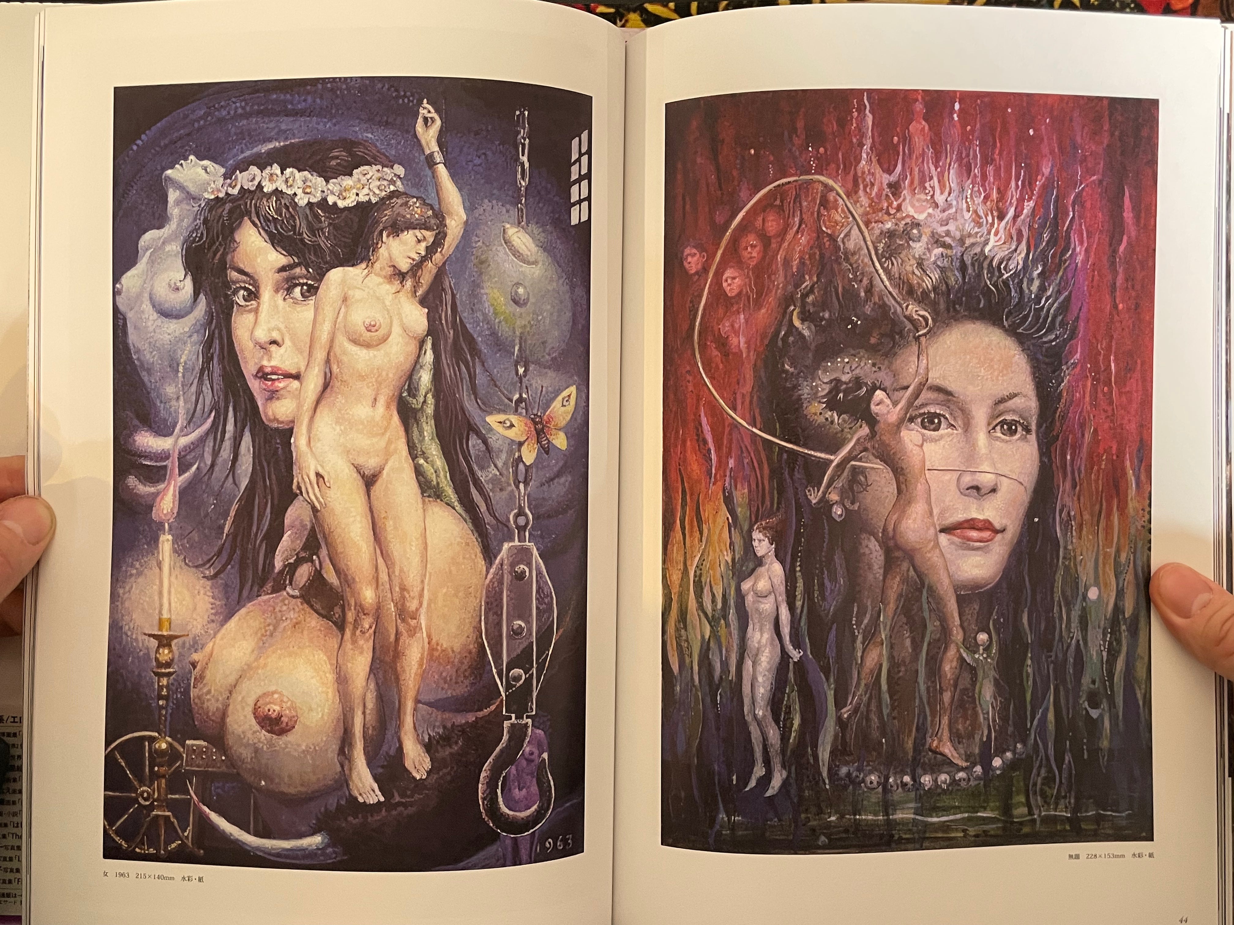 Ran Akiyoshi Illusory Works: Faraway Primordial Illusions - Hardcover (2025)