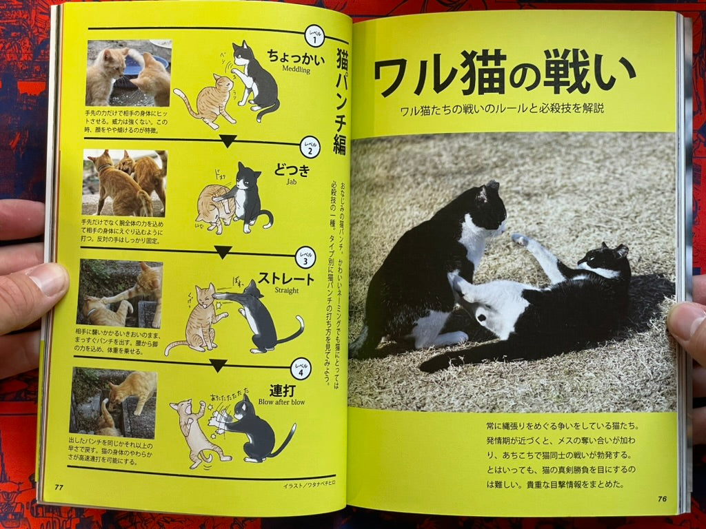 I'm A Bad Cat by Minamihaba Shunsuke (2016)