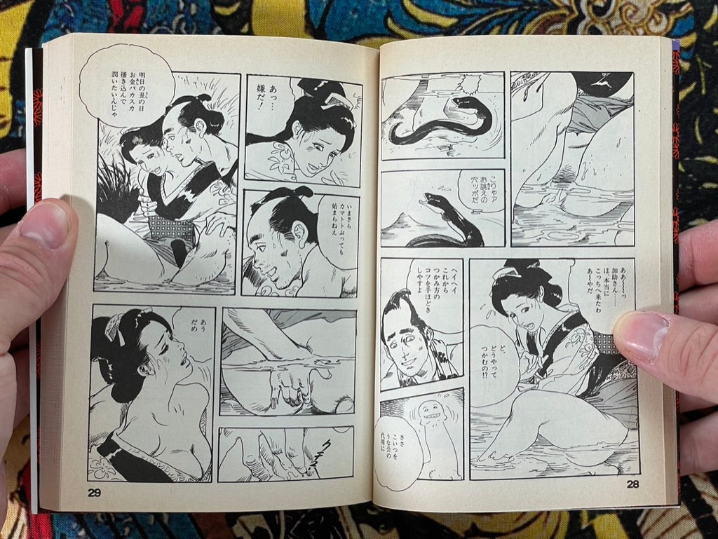Lewd Kannon (Bunko Edition) by Ken Tsukikage (1998)