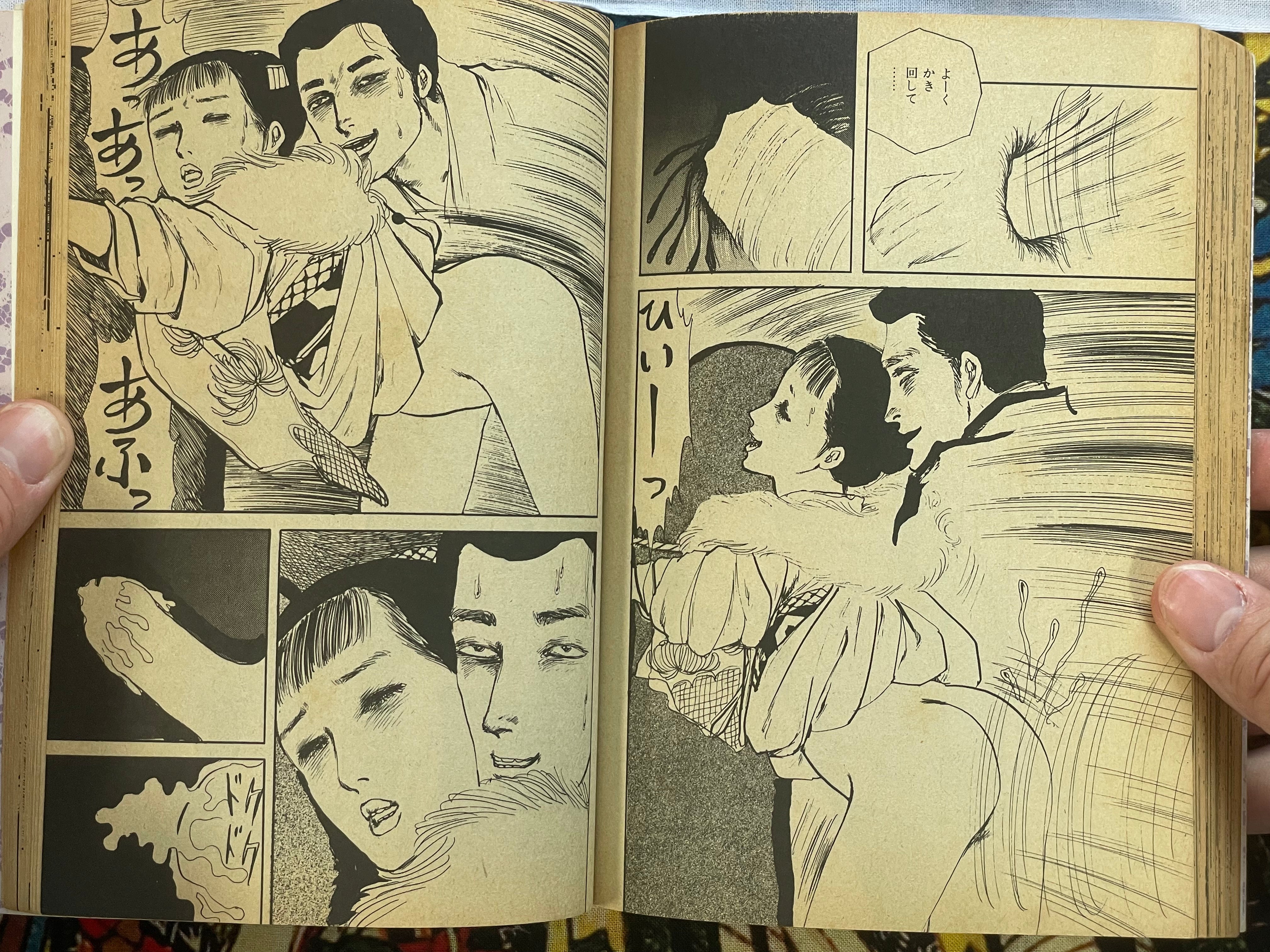 Young Girl Yumemachigusa by Shinichi Muraso (1984)