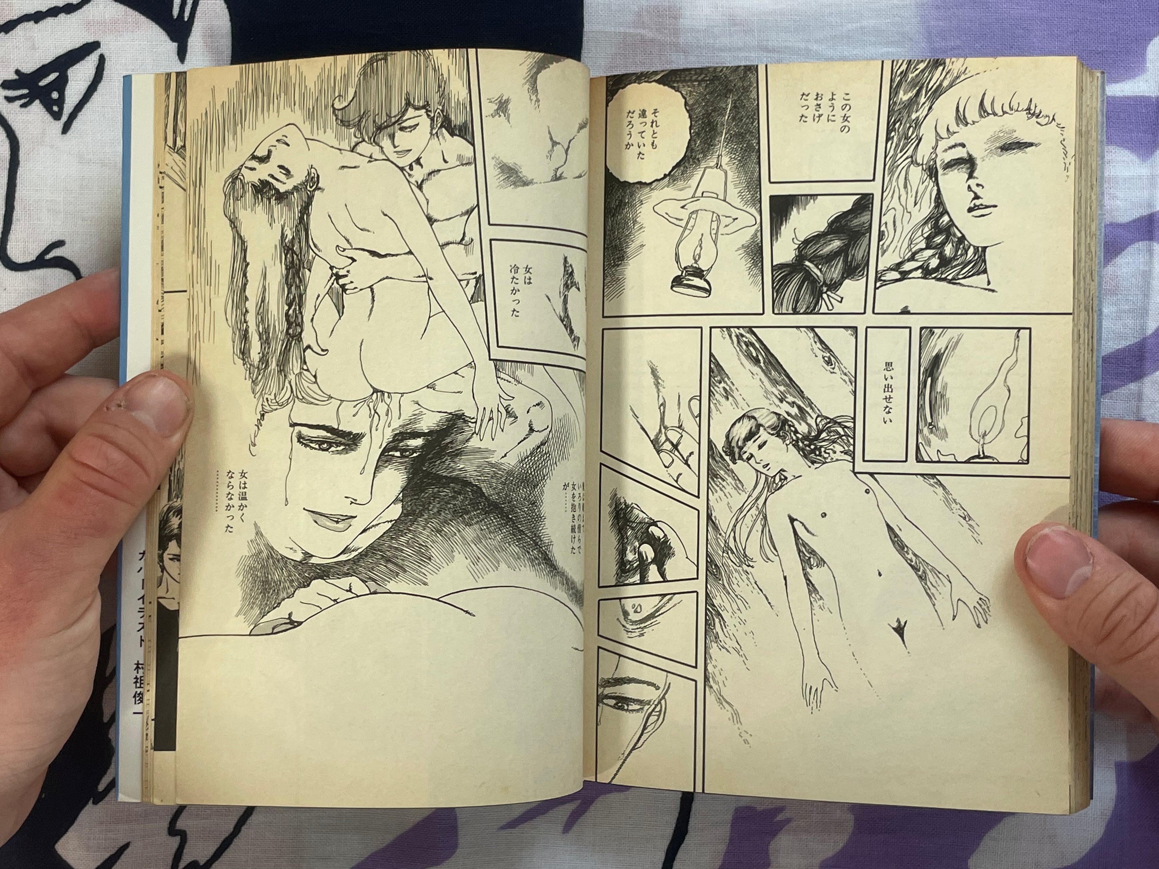 Girl Turned to the Darkness 1-2 Set by Shunichi Muraso (1986)