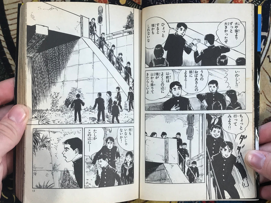 School Trip of Terror by Miki Ibara (1985)