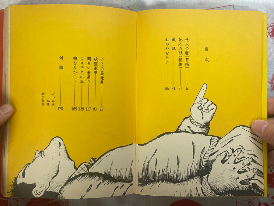 Cosmos Hill by Hiromi Hiraguchi (1978)