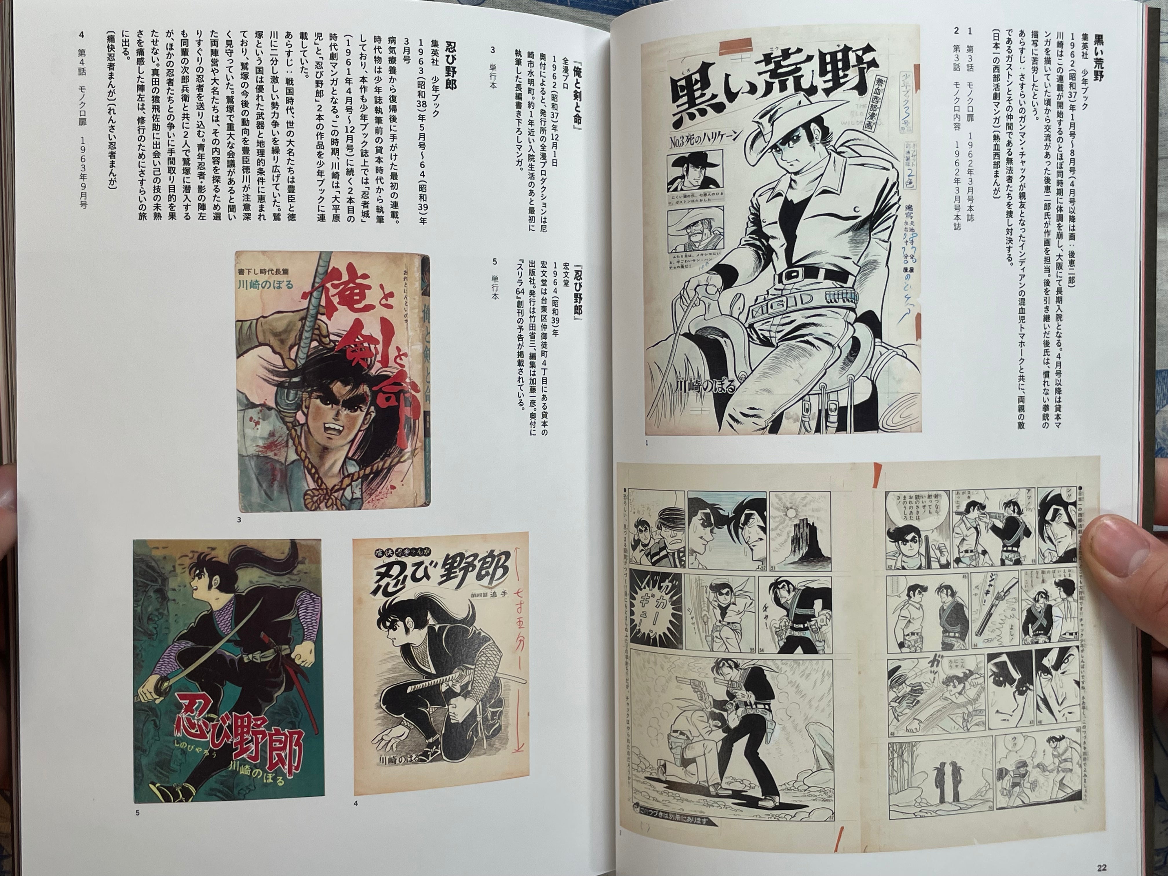 Sweat, Tears & Laughter by Noboru Kawashima (2015)