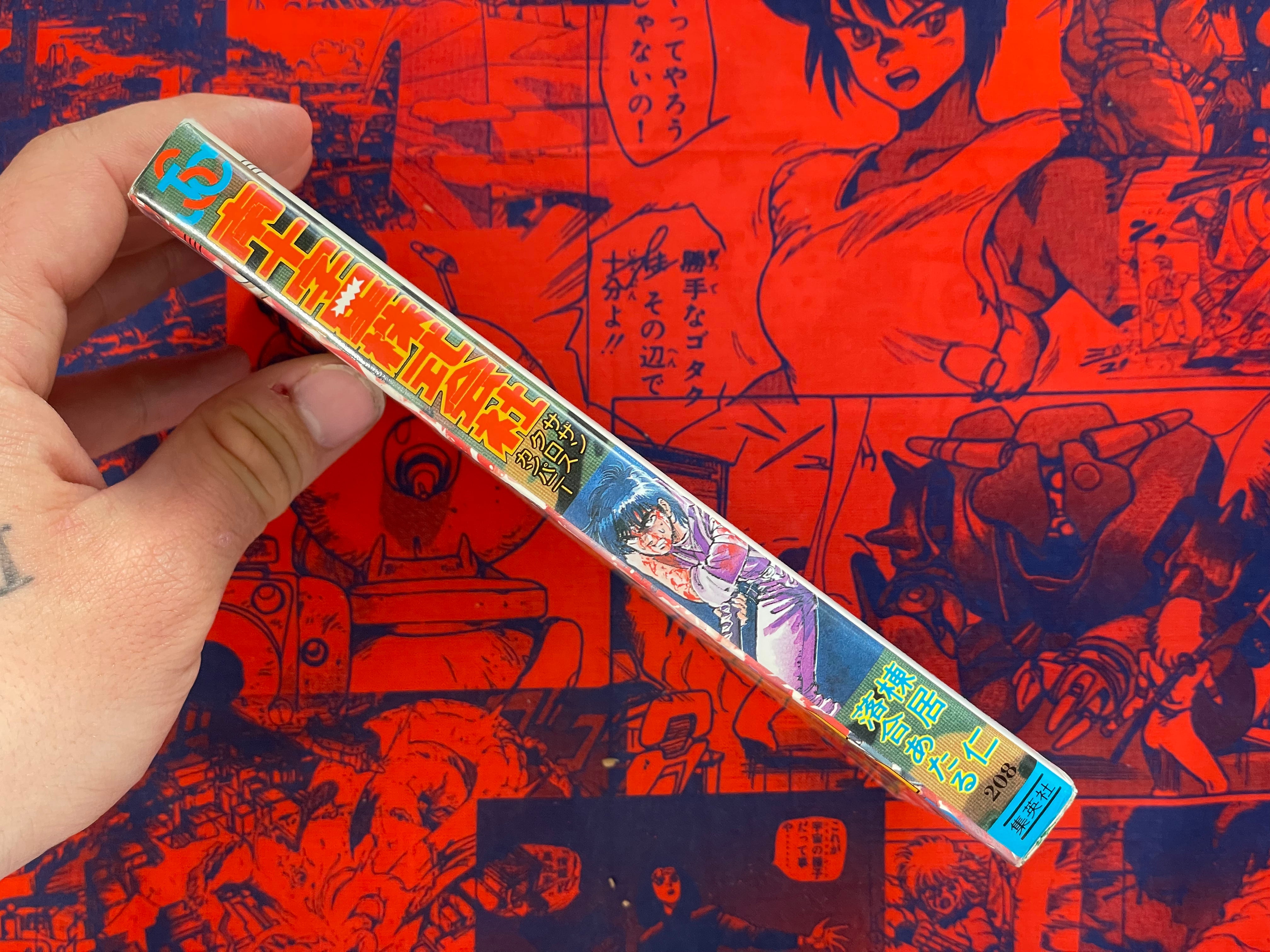 Southern Cross Company by Ochiai Ataru (1990)