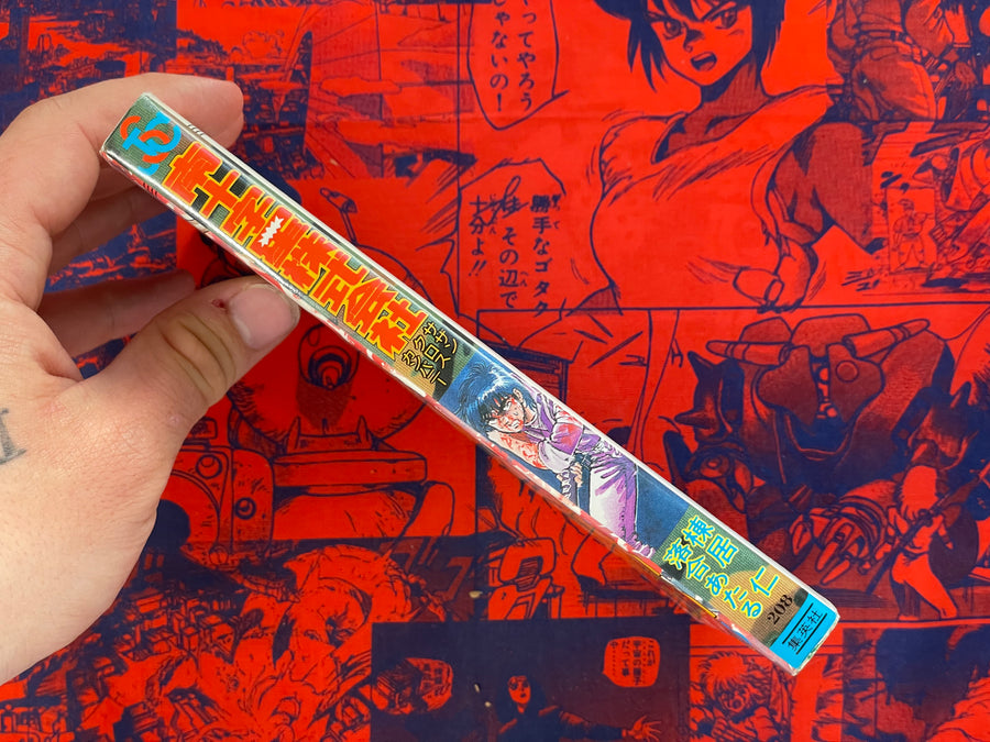 Southern Cross Company by Ochiai Ataru (1990)