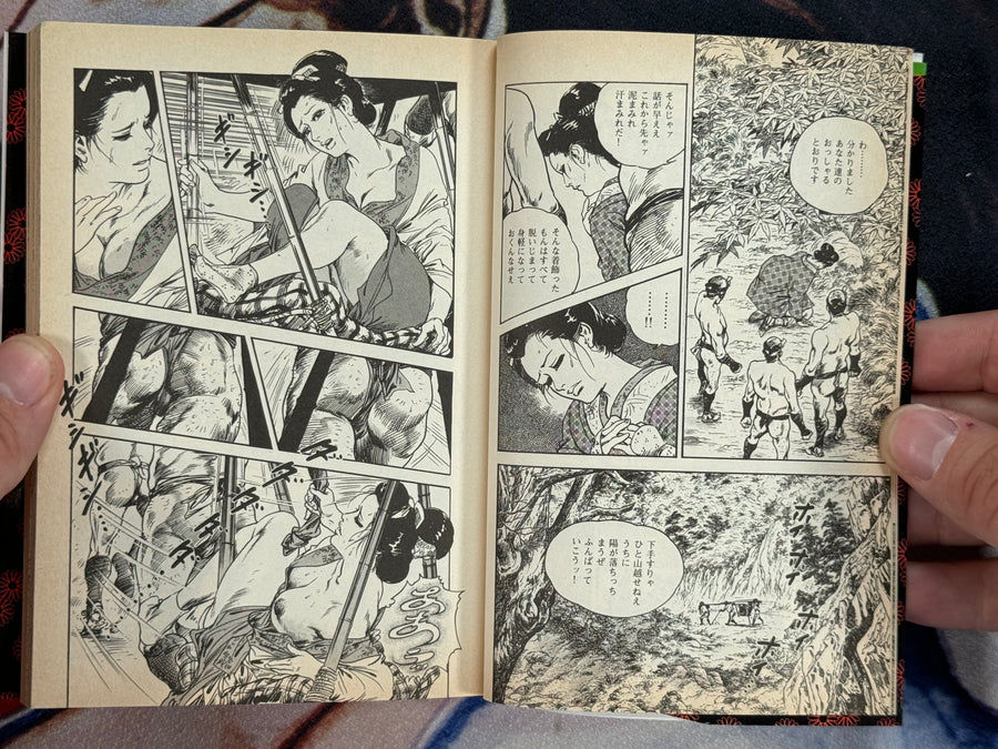 Dream Lewd Skin (Bunko Edition) by Ken Tsukikage (1998)