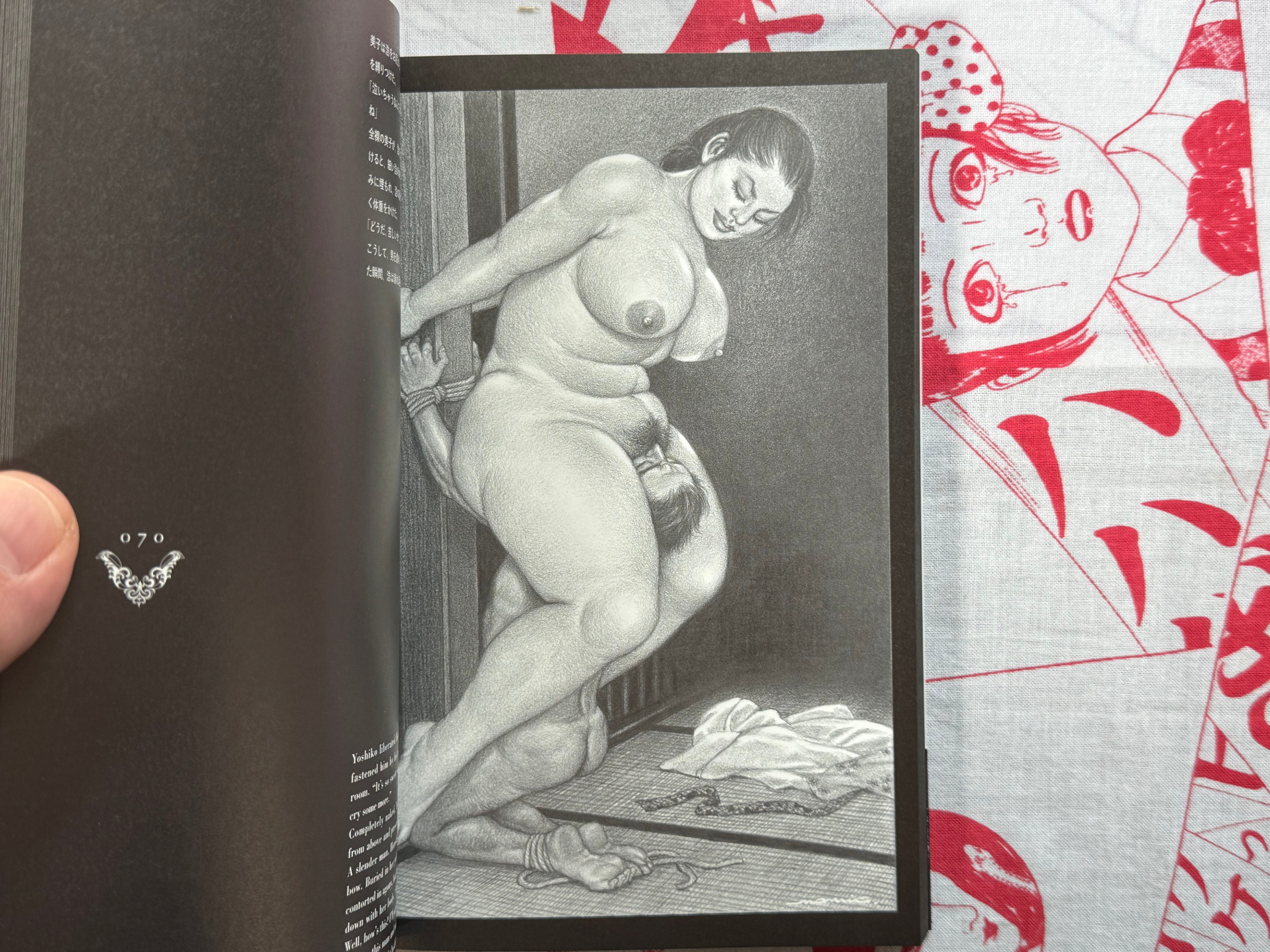 Domina Garden: A Visual Story  by Namio Harukawa