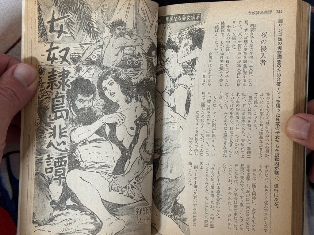 SM Fan Magazine (12/1972)