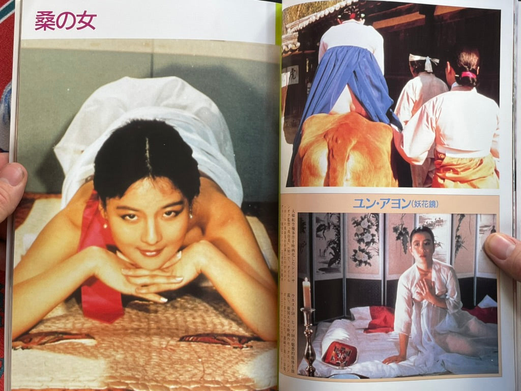 Korean Eros: Korean Porno Sensual Beauties by Kindaieigasha (1994)