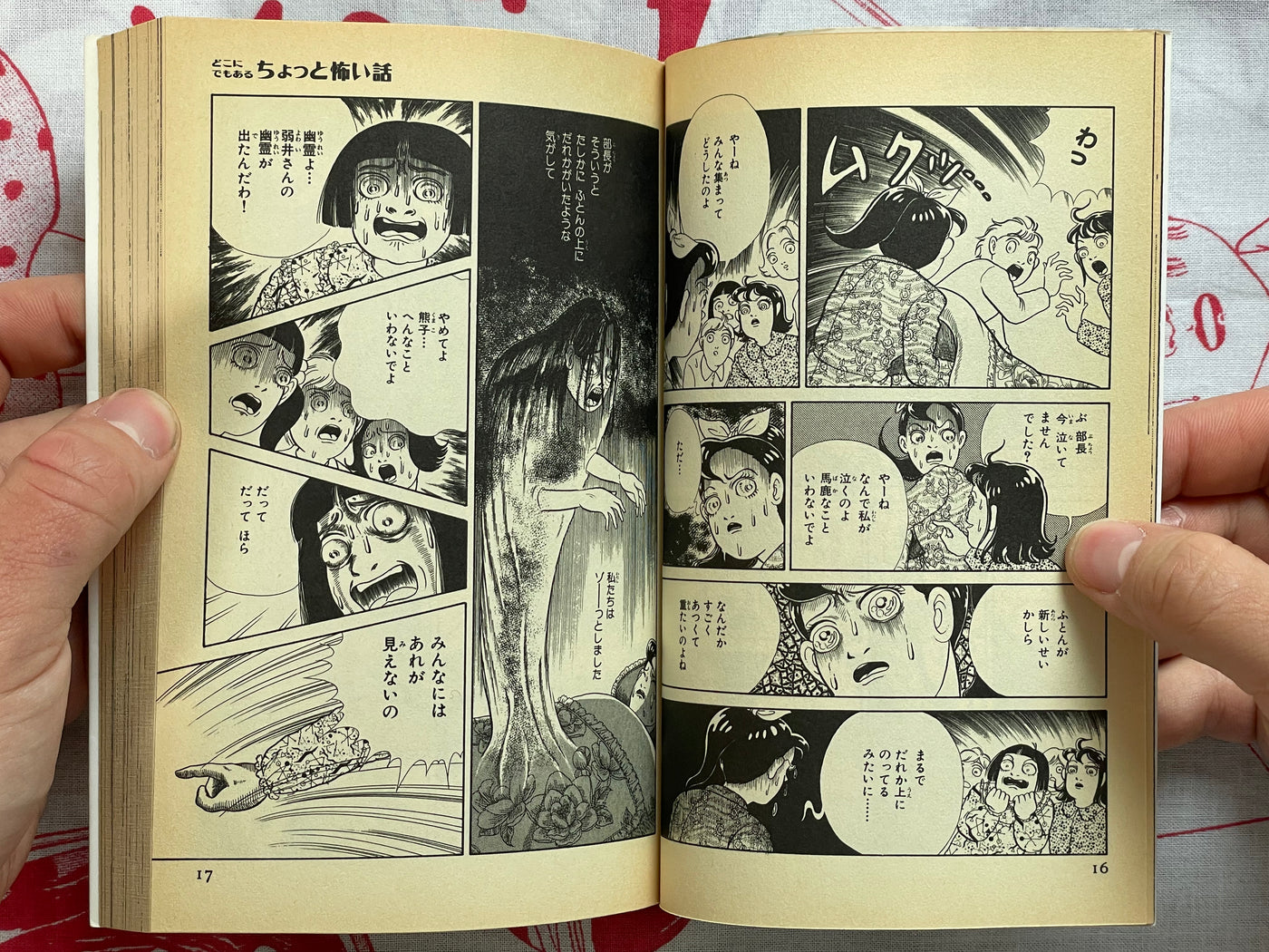 Slightly Scary Stories you can Find Anywhere by Kanako Inuki (1998)