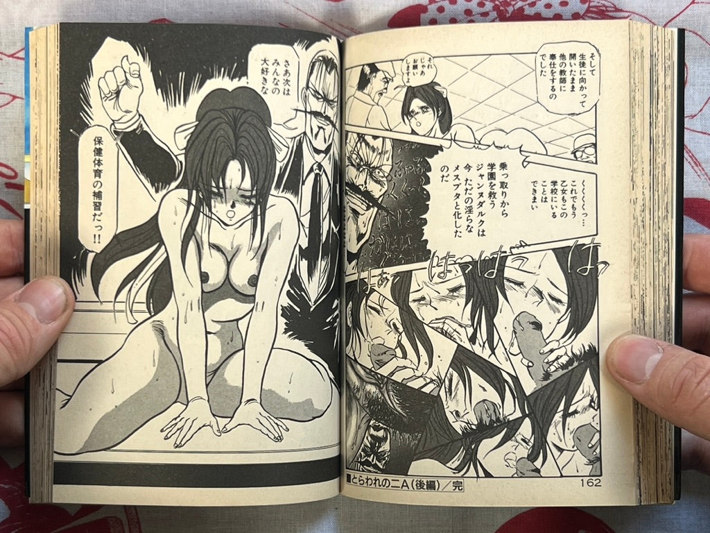 Teacher Otome's Private Instruction - bunko size by Denkosekka Go (1994)
