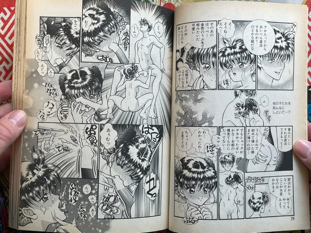 Flamingo Magazine (2/1995)