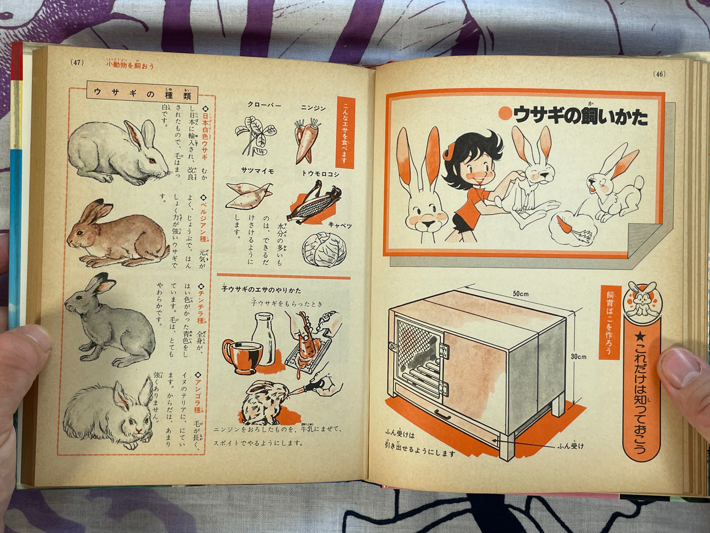 How to Own Pets #4 by Shogakukan (1979)