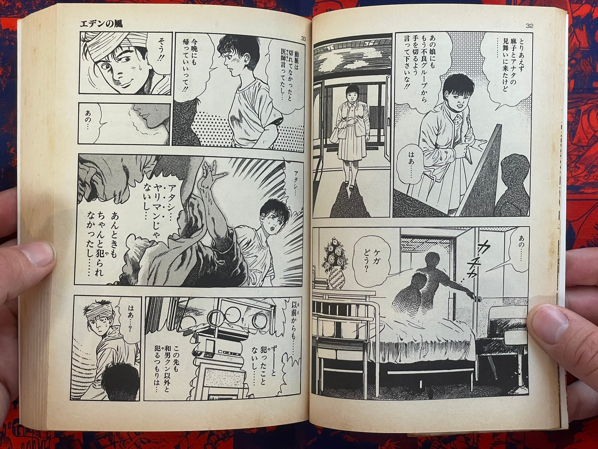 SIGNED Wind of Eden by Toshio Maeda (1990)