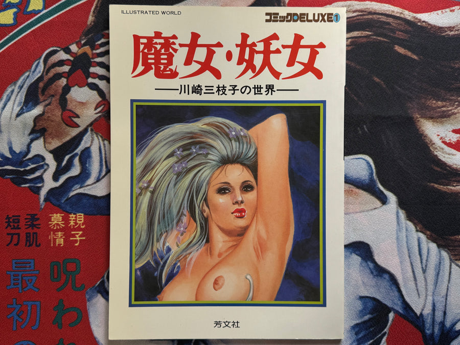 Mieko Kawasaki Illustrated World (1979)