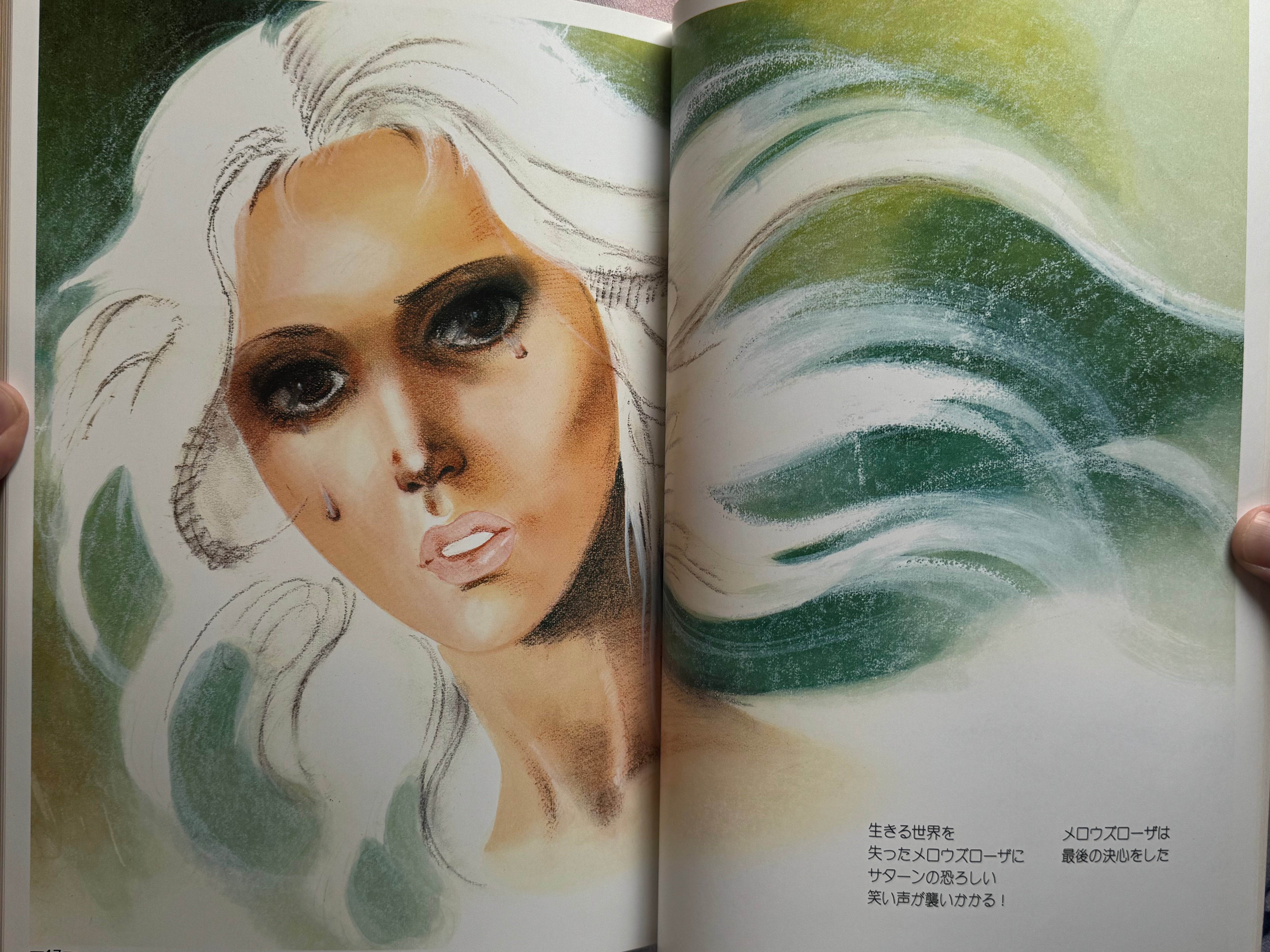 Mieko Kawasaki Illustrated World (1979)