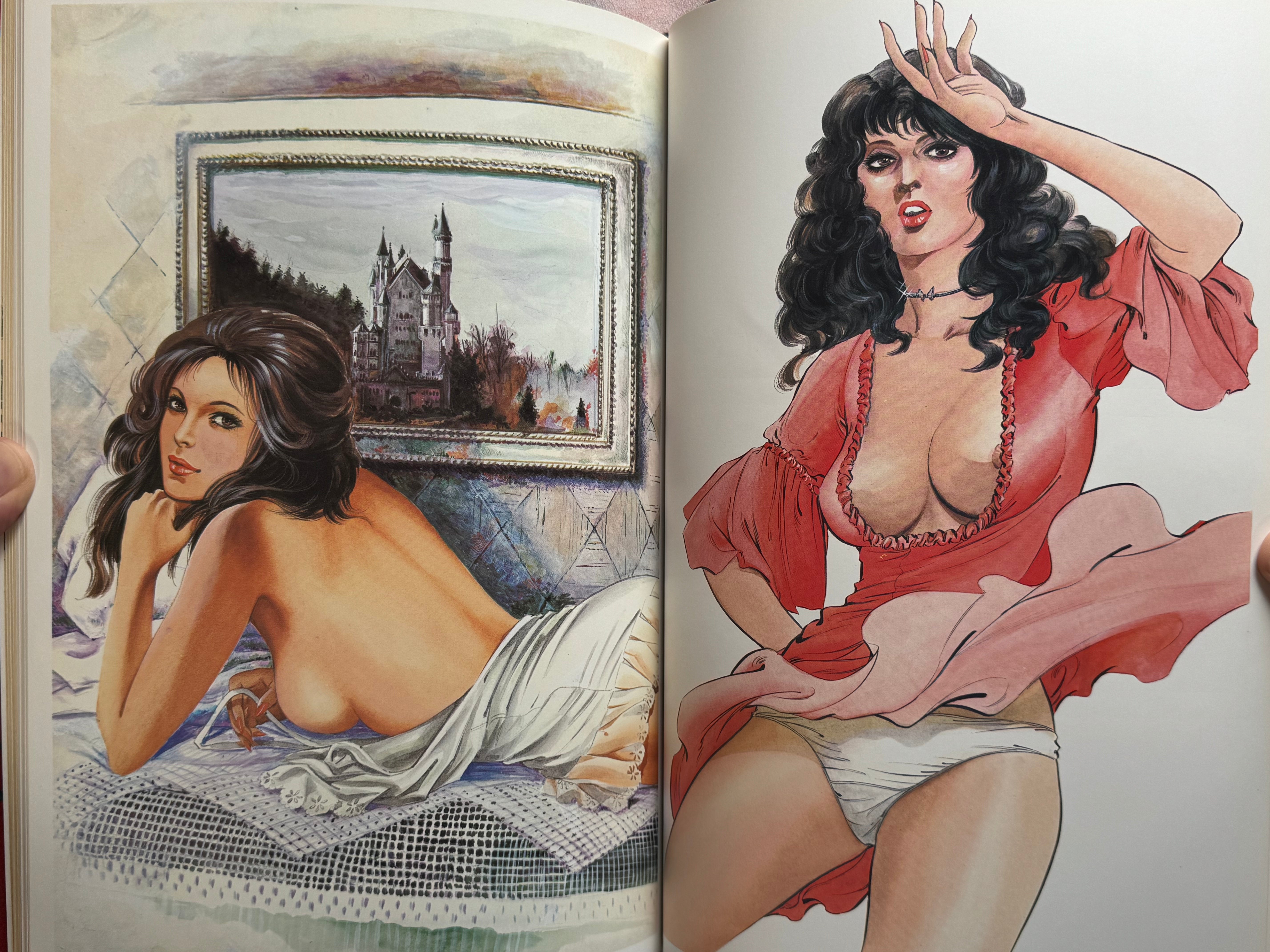 Mieko Kawasaki Illustrated World (1979)