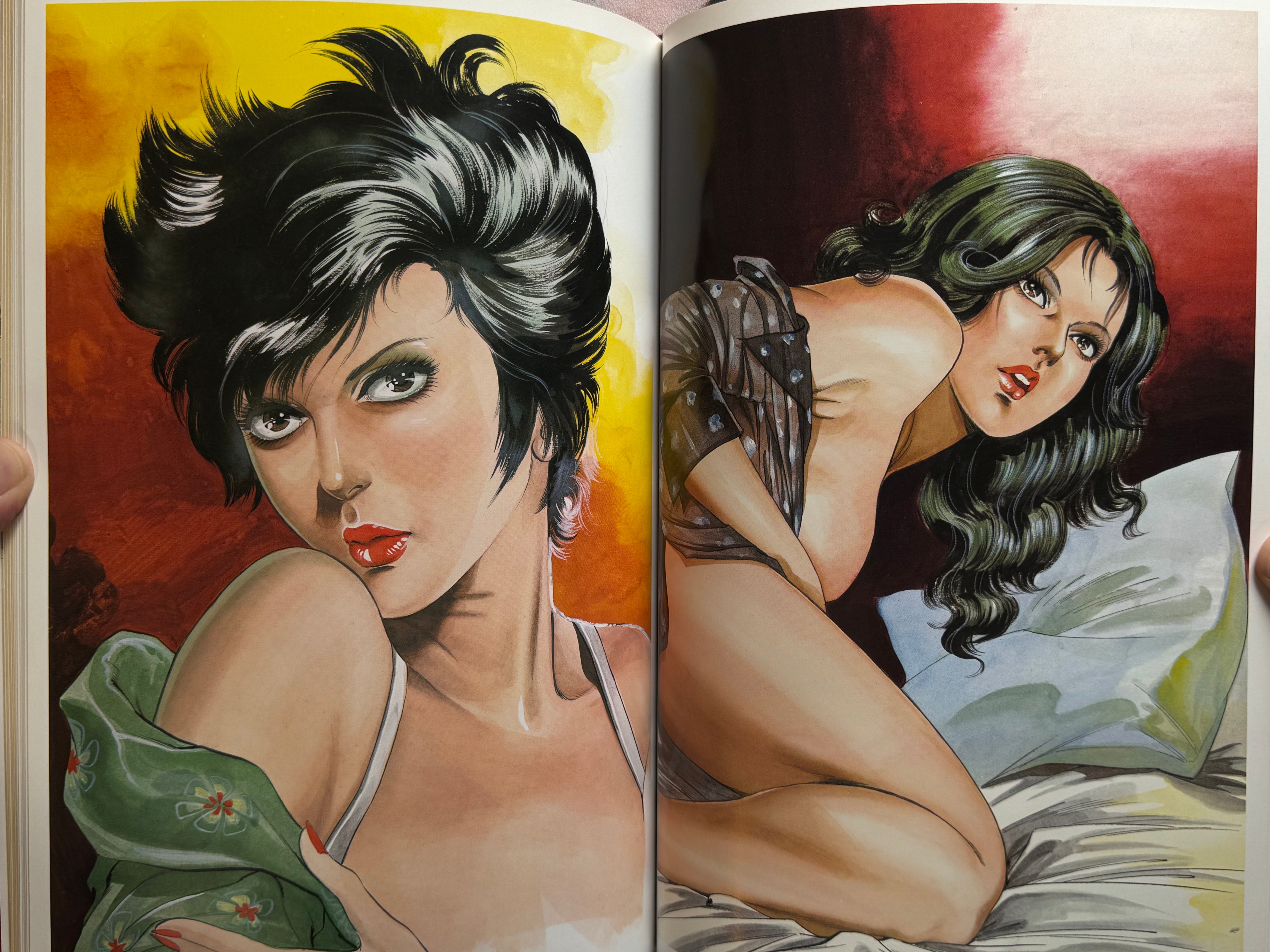 Mieko Kawasaki Illustrated World (1979)