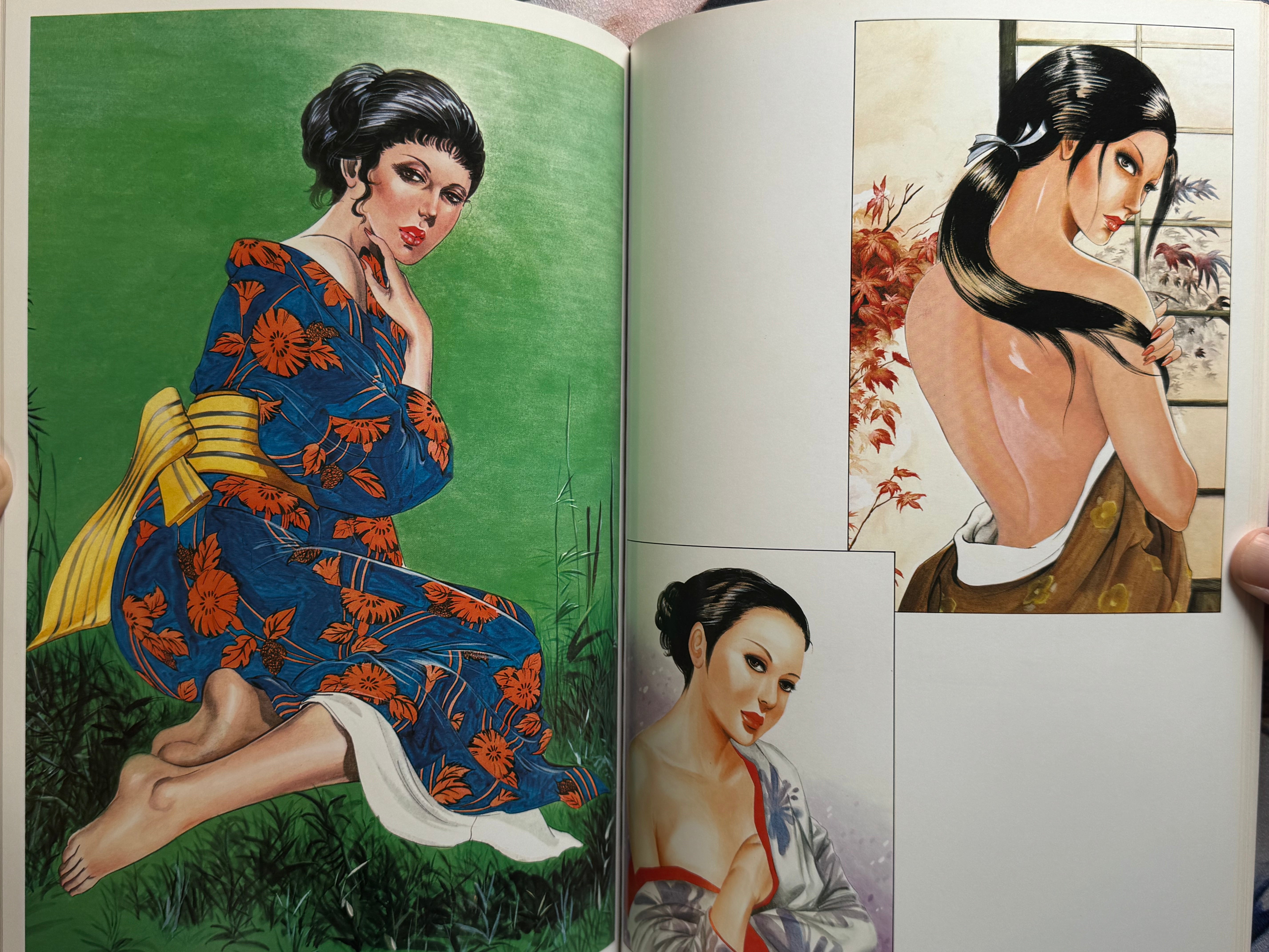 Mieko Kawasaki Illustrated World (1979)