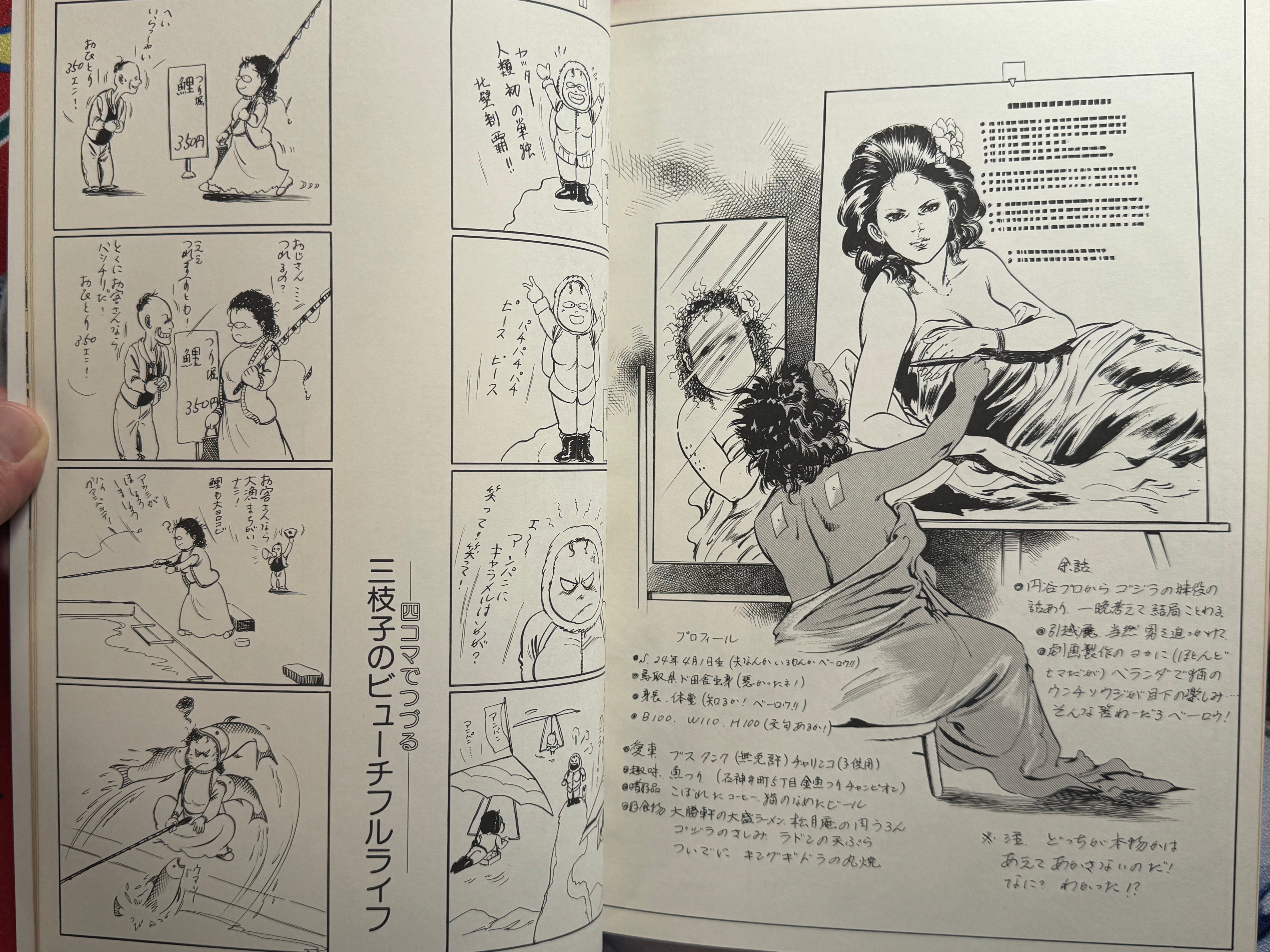 Mieko Kawasaki Illustrated World (1979)