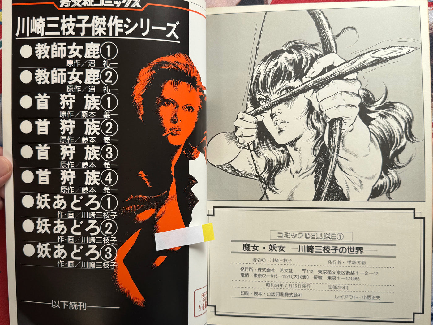 Mieko Kawasaki Illustrated World (1979)