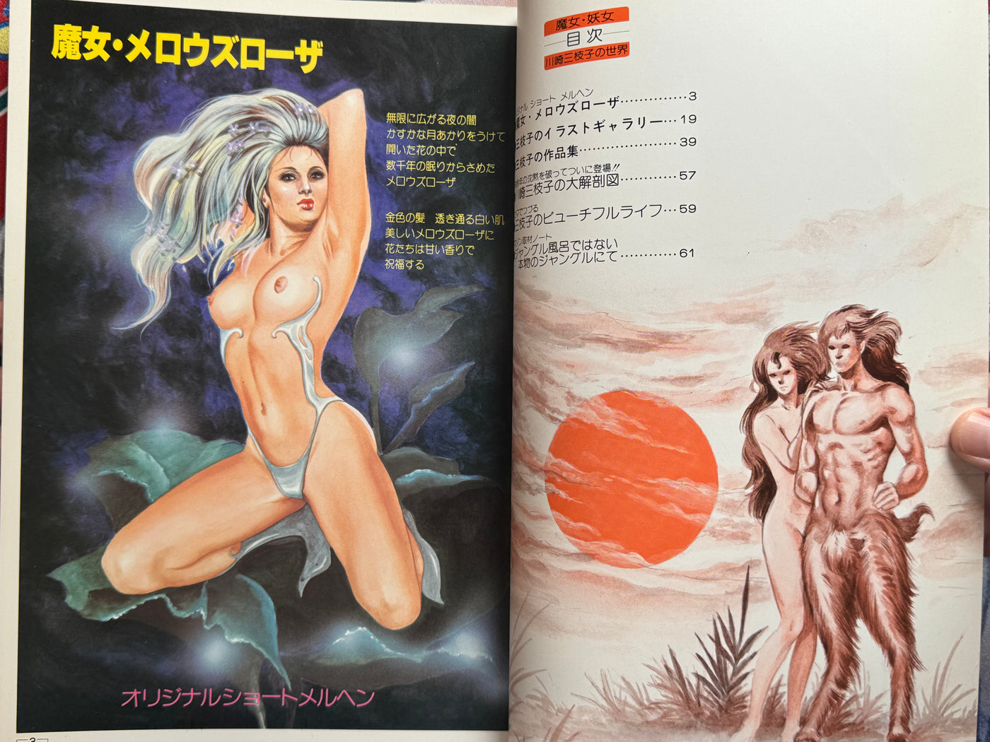 Mieko Kawasaki Illustrated World (1979)