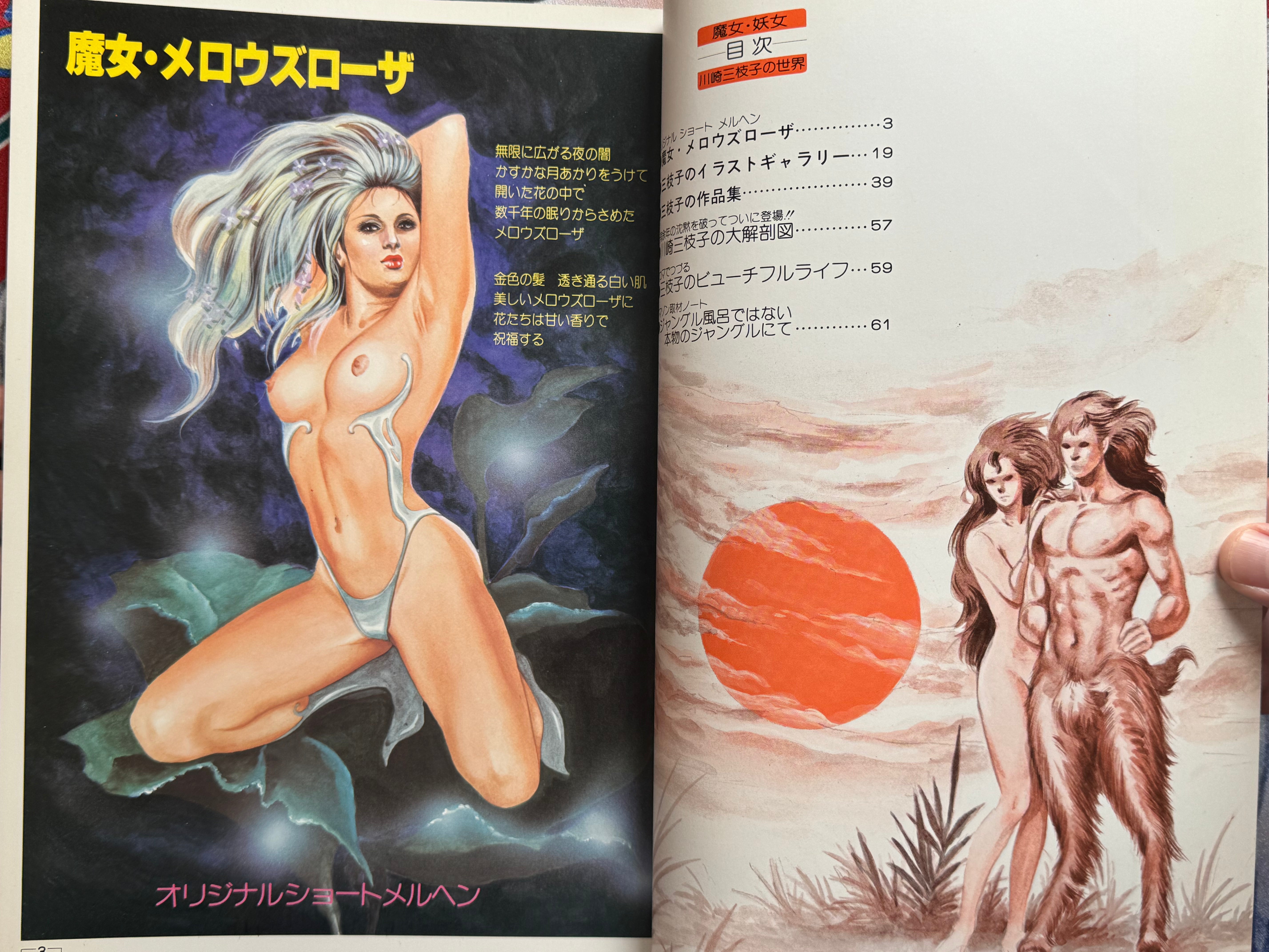 Mieko Kawasaki Illustrated World (1979)