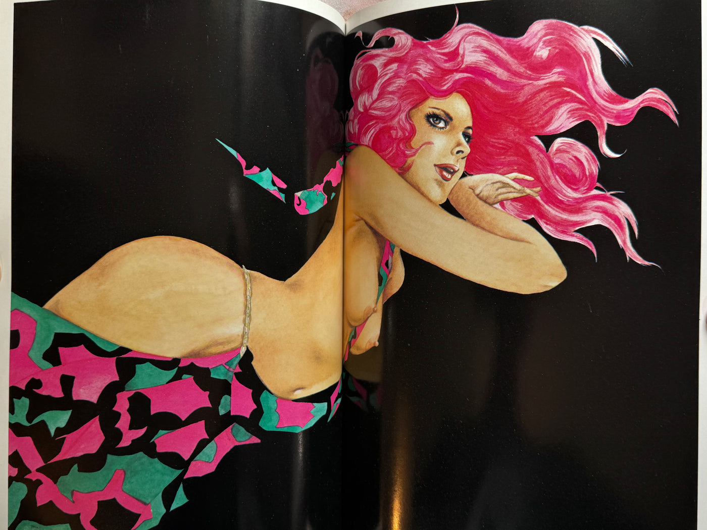 Mieko Kawasaki Illustrated World (1979)