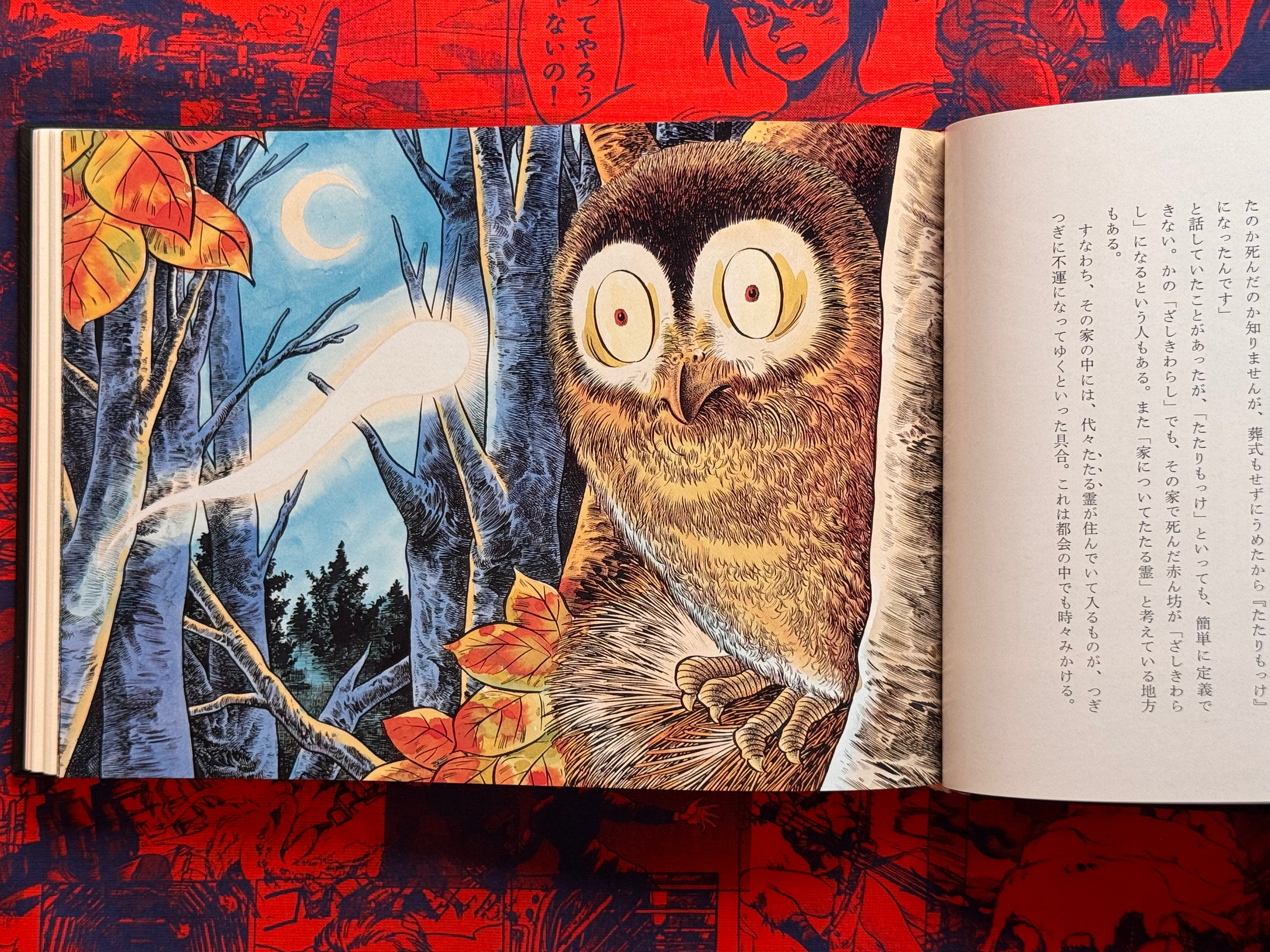 Mizuki Shigeru's Yokai Encyclopedia Full 1-2 Vol. Set (1981/1984)-thumbmail-10
