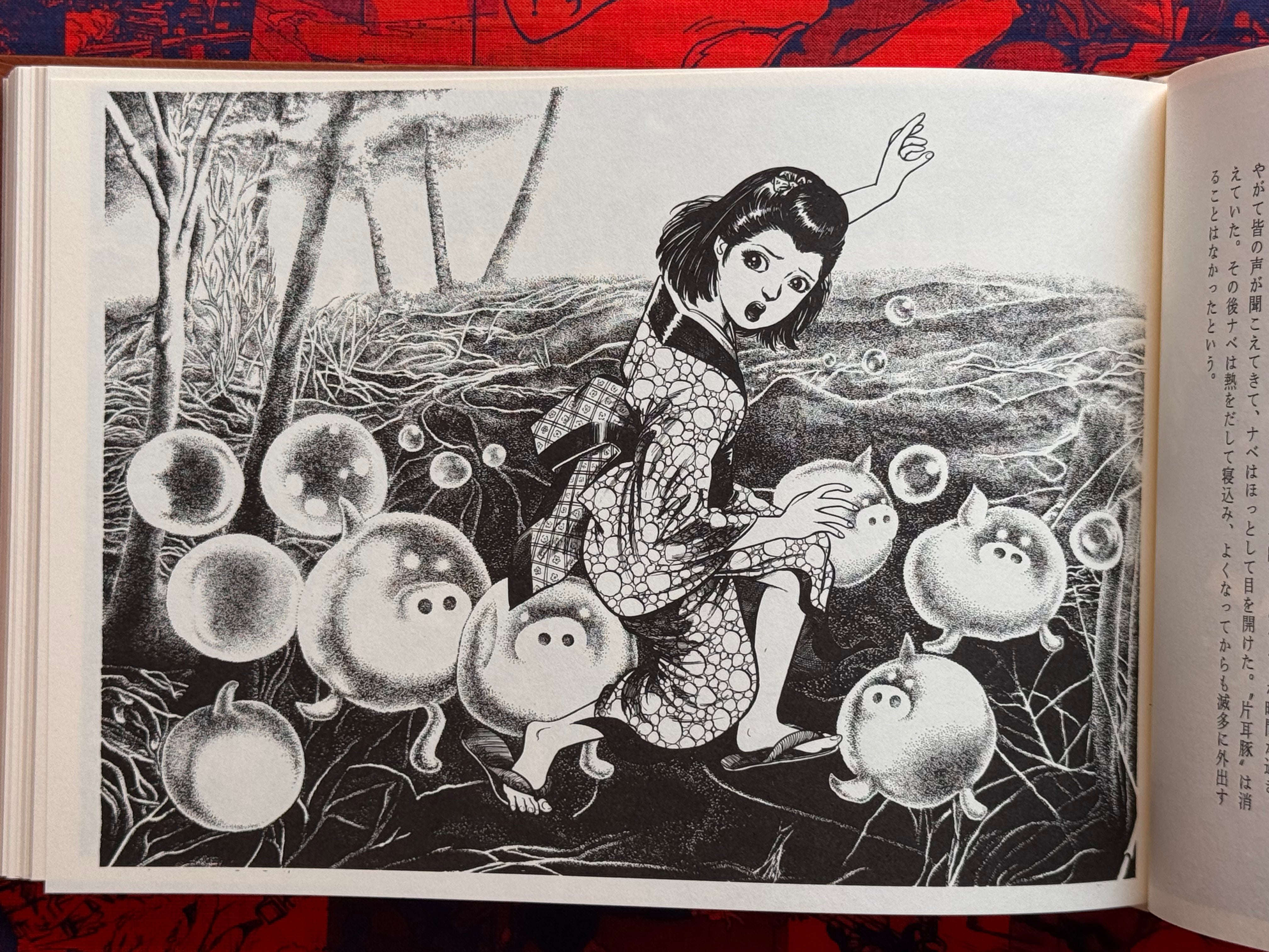 Mizuki Shigeru's Yokai Encyclopedia Full 1-2 Vol. Set (1981/1984)-thumbmail-27
