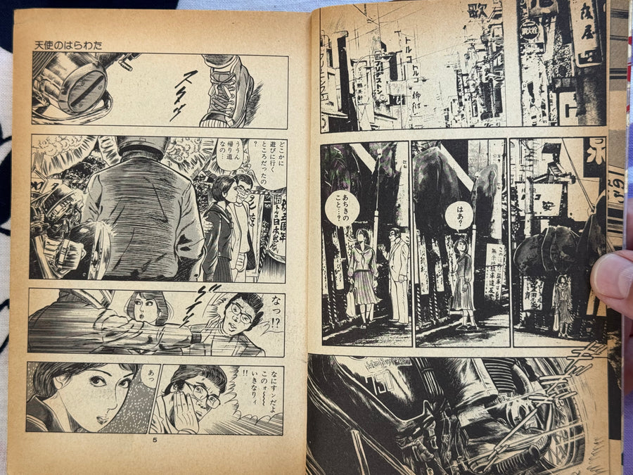 Angel Guts (1978-79) by Takashi Ishii Full 3 Vol. Set
