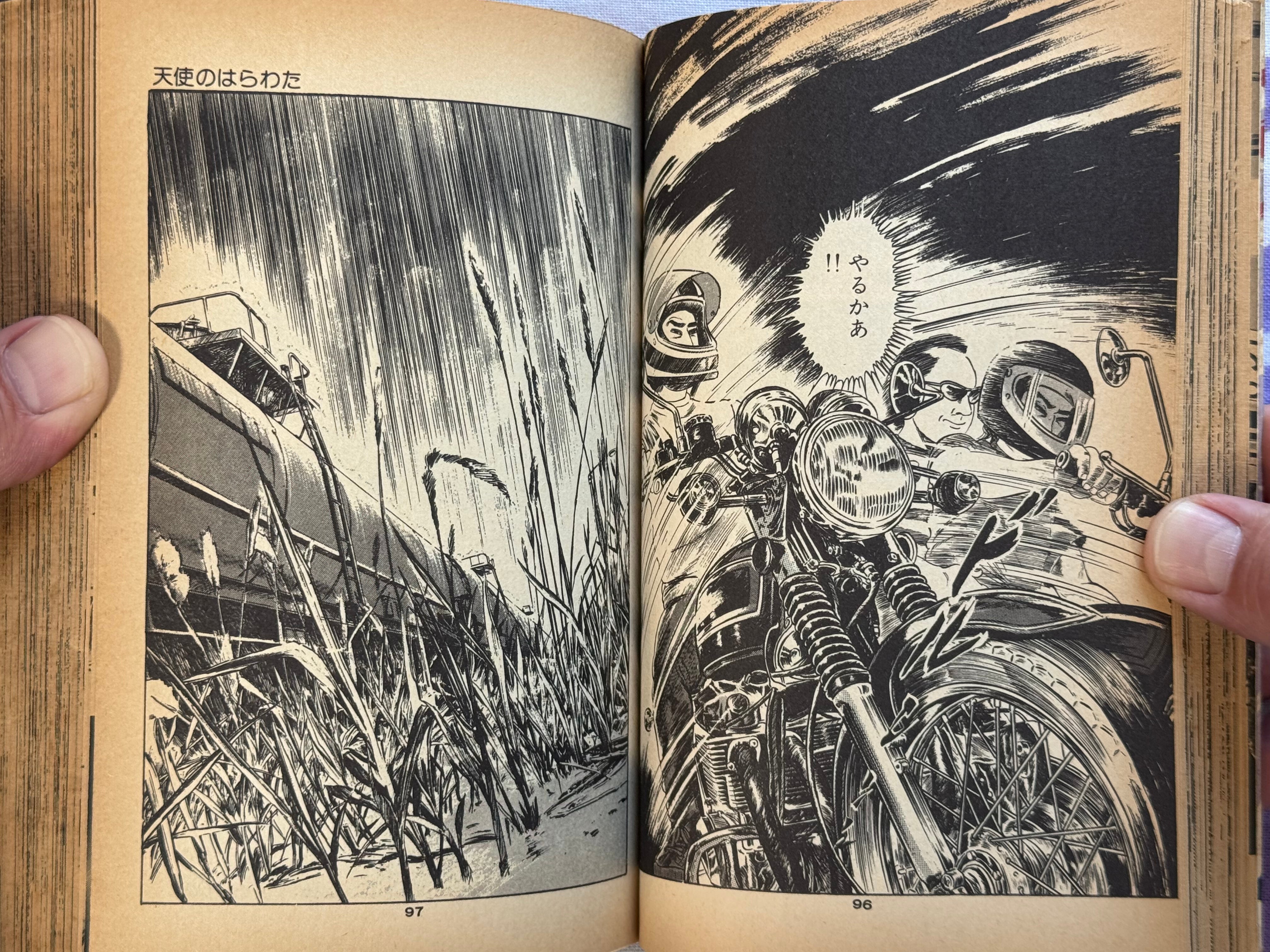 Angel Guts (1978-79) by Takashi Ishii Full 3 Vol. Set