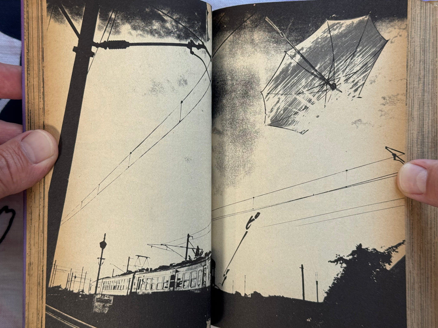 Angel Guts (1978-79) by Takashi Ishii Full 3 Vol. Set