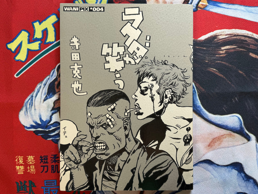 Rakuda Ga Warau (2003) by Katsuya Terada