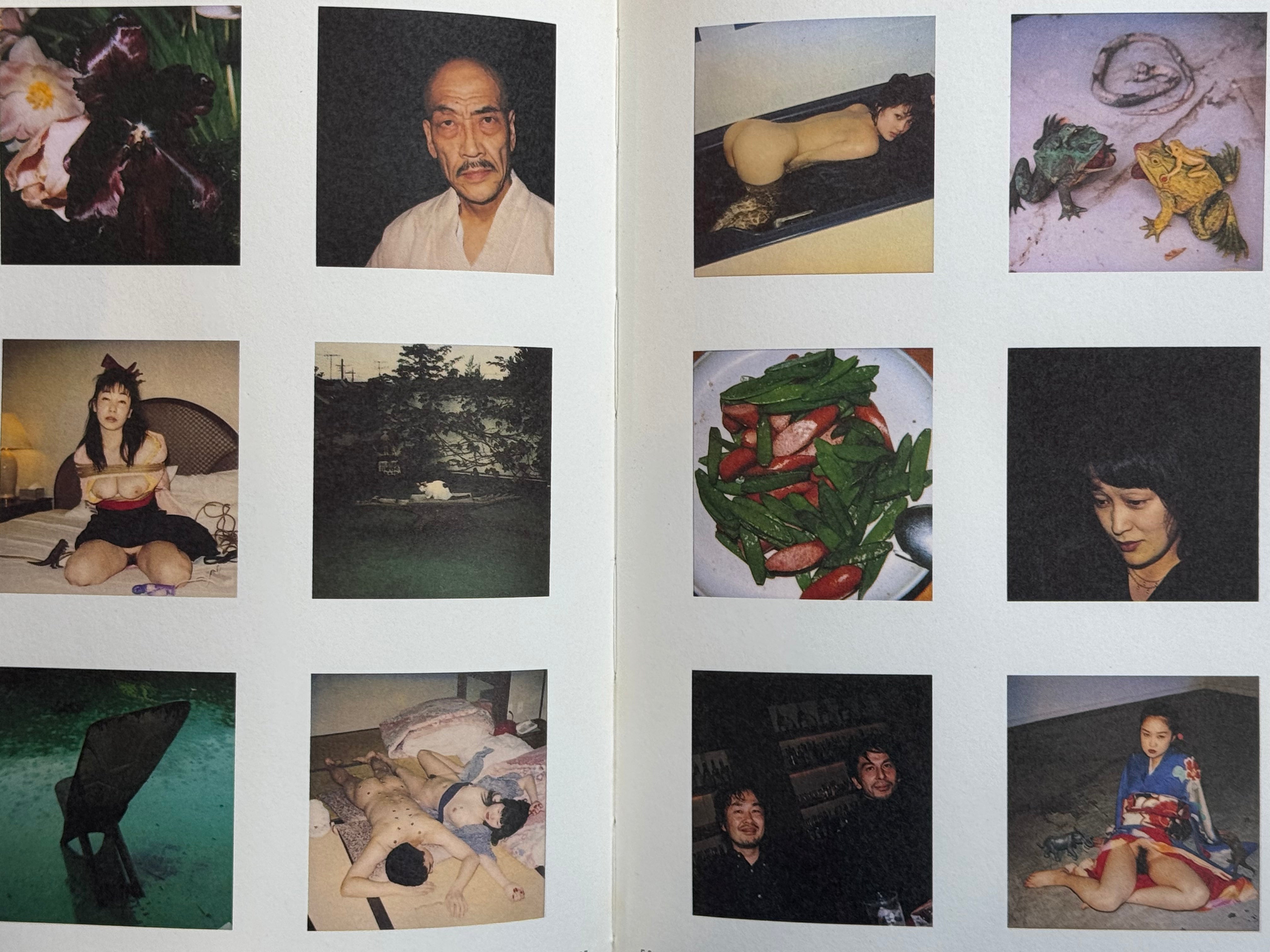 Poraevashii by Nobuyoshi Araki - Polaroid Photo Collection-thumbmail-11
