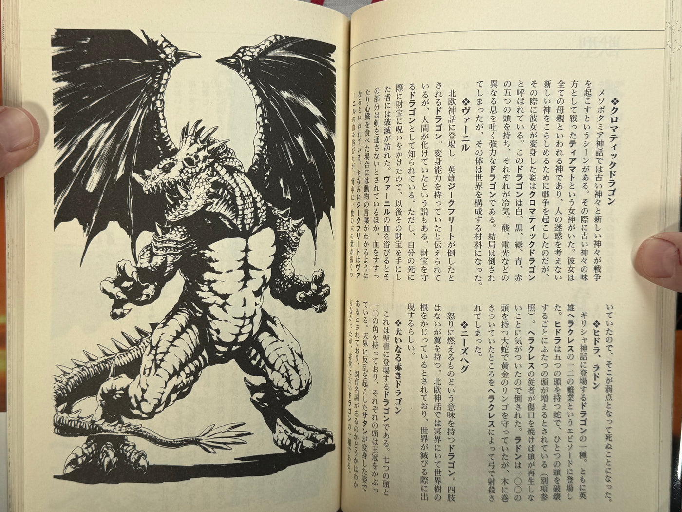 Encyclopedia of Cryptid Natural History (1996)