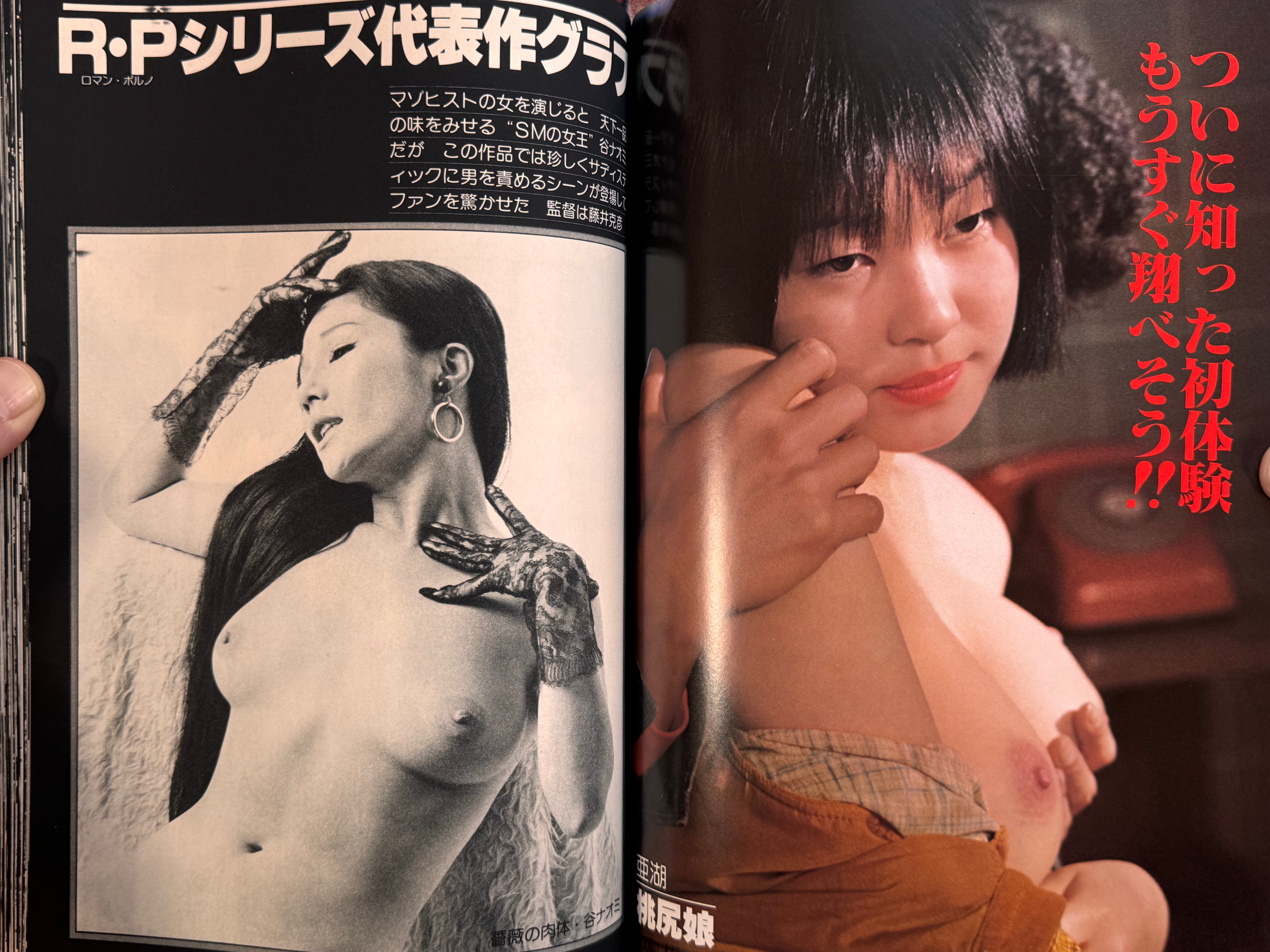Eiga no Tomo Deluxe: Actresses of Roman Porno (1979)