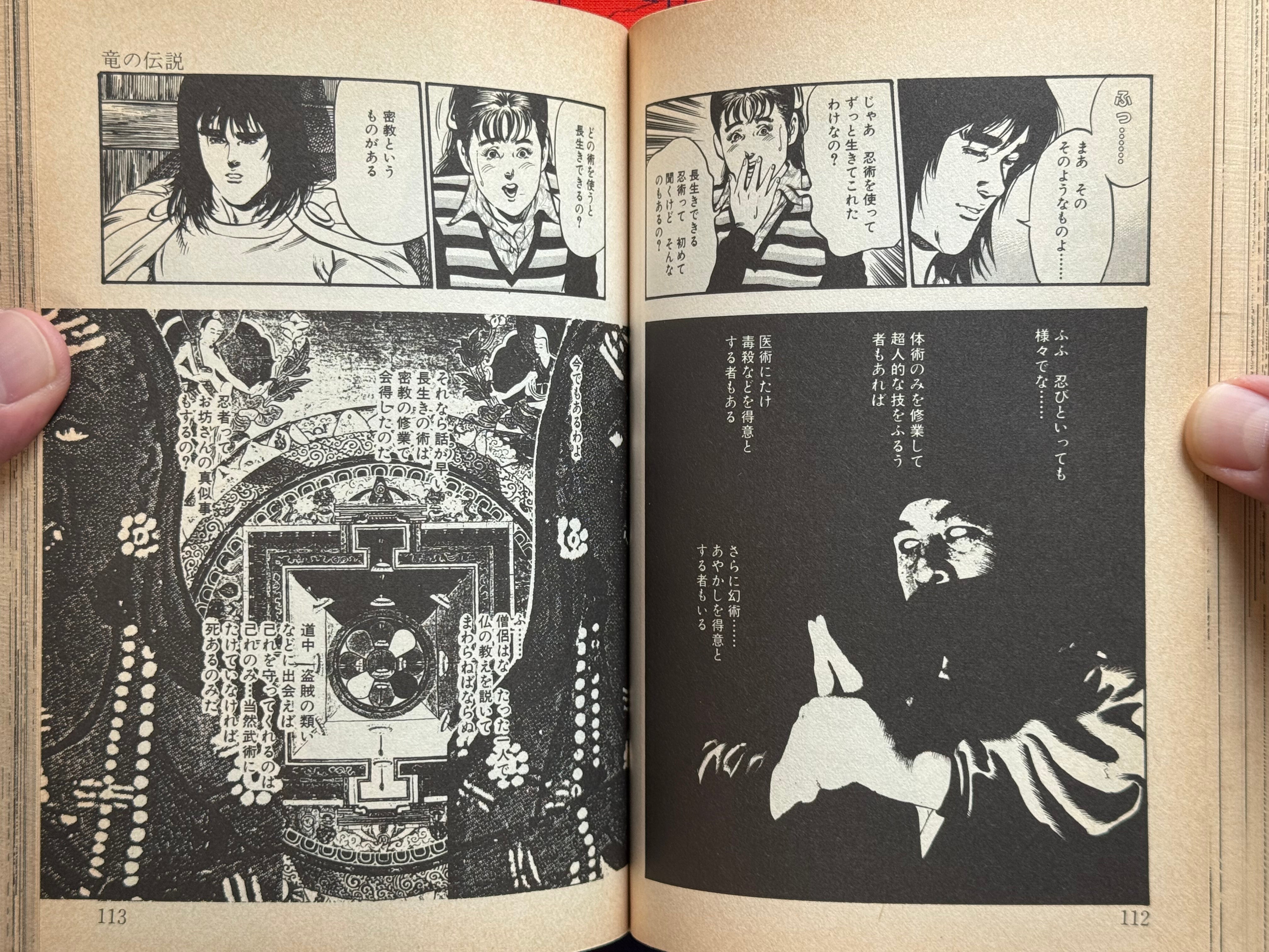 Demon Beast Warrior (1987) by Issaku Wake