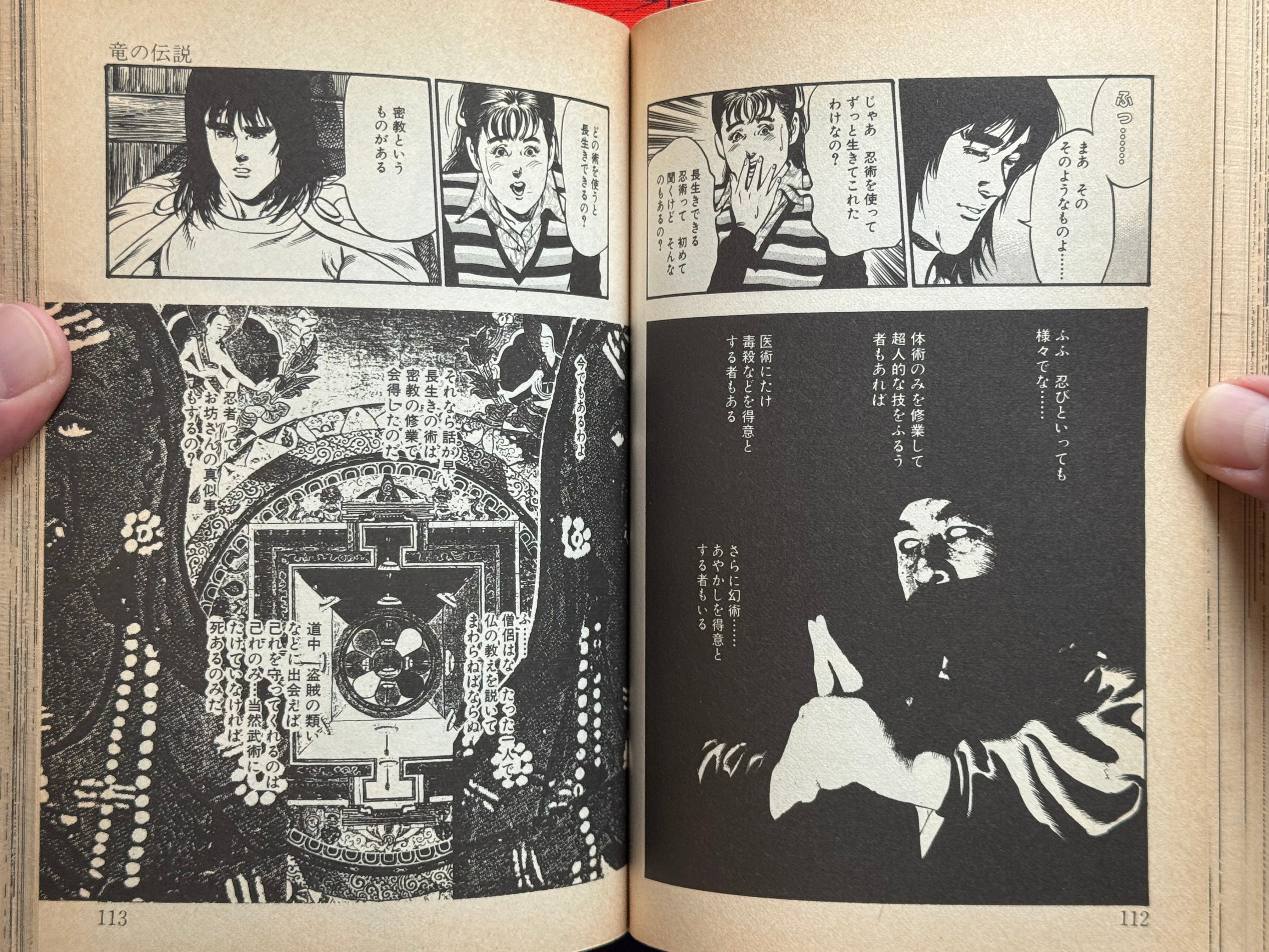 Demon Beast Warrior (1987) by Issaku Wake