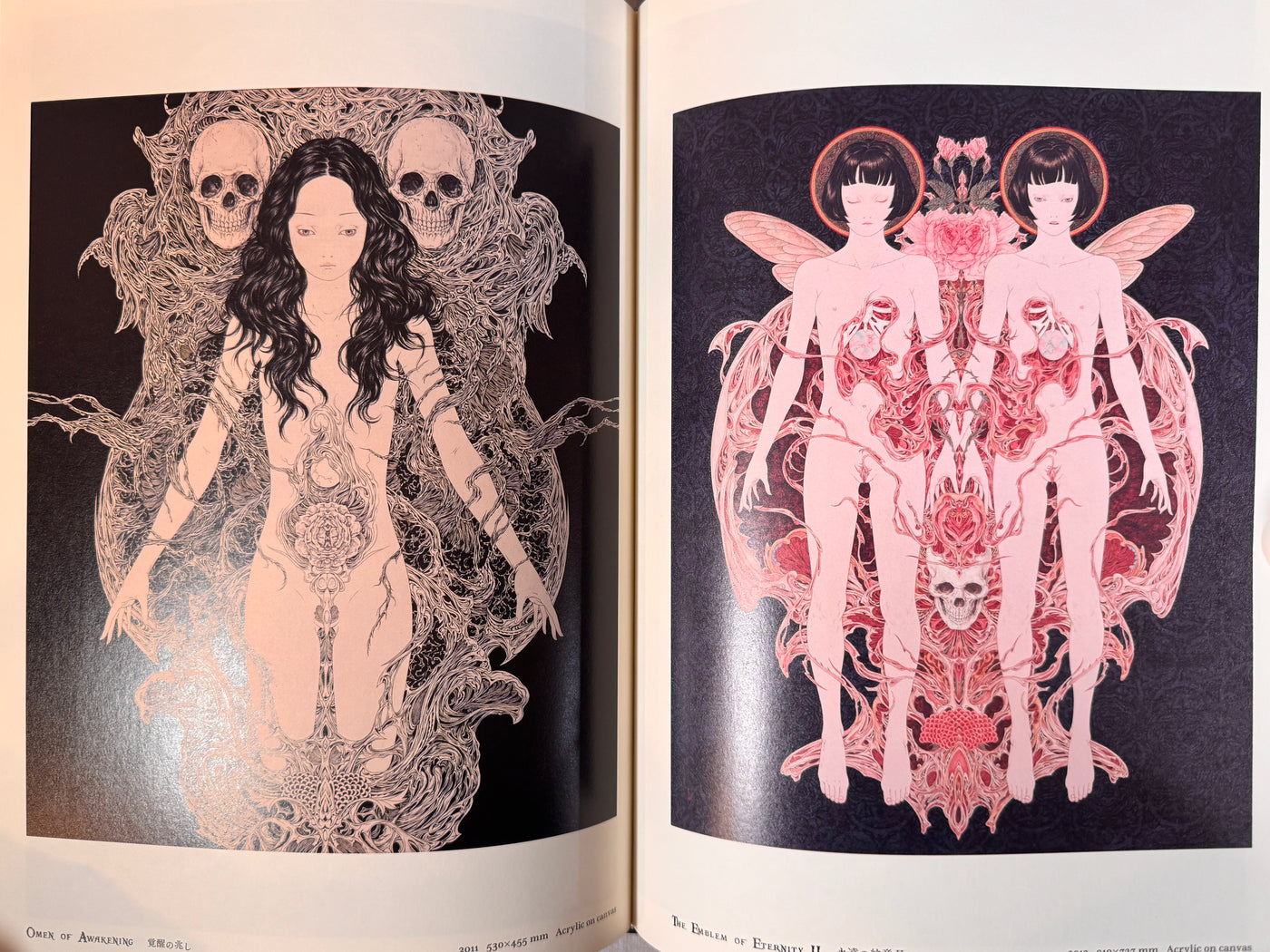 SIGNED Necrophantasmagoria Vanitas revised edition by Yamamoto Takato - Hardcover (2015)
