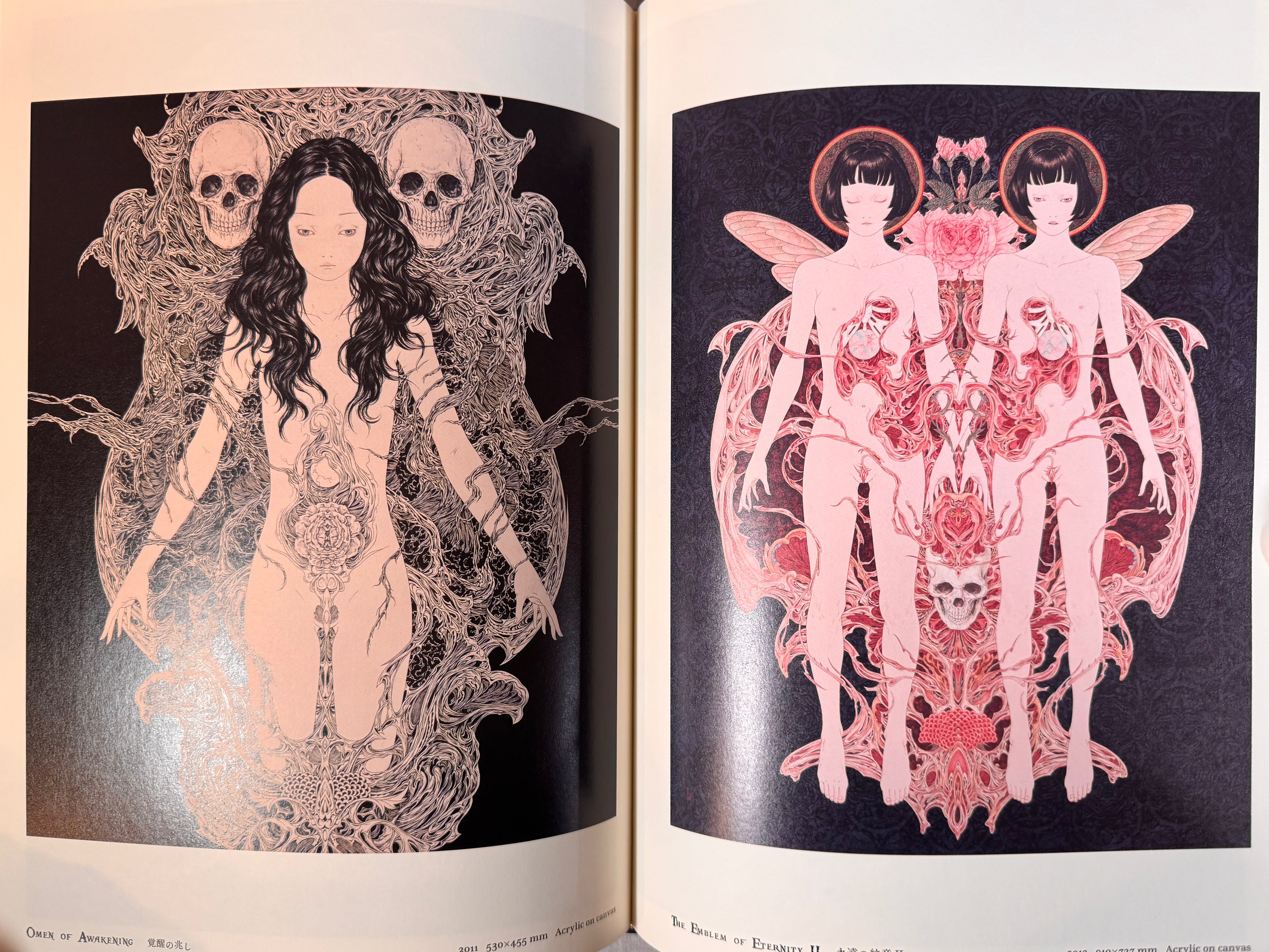SIGNED Necrophantasmagoria Vanitas revised edition by Yamamoto Takato - Hardcover (2015)