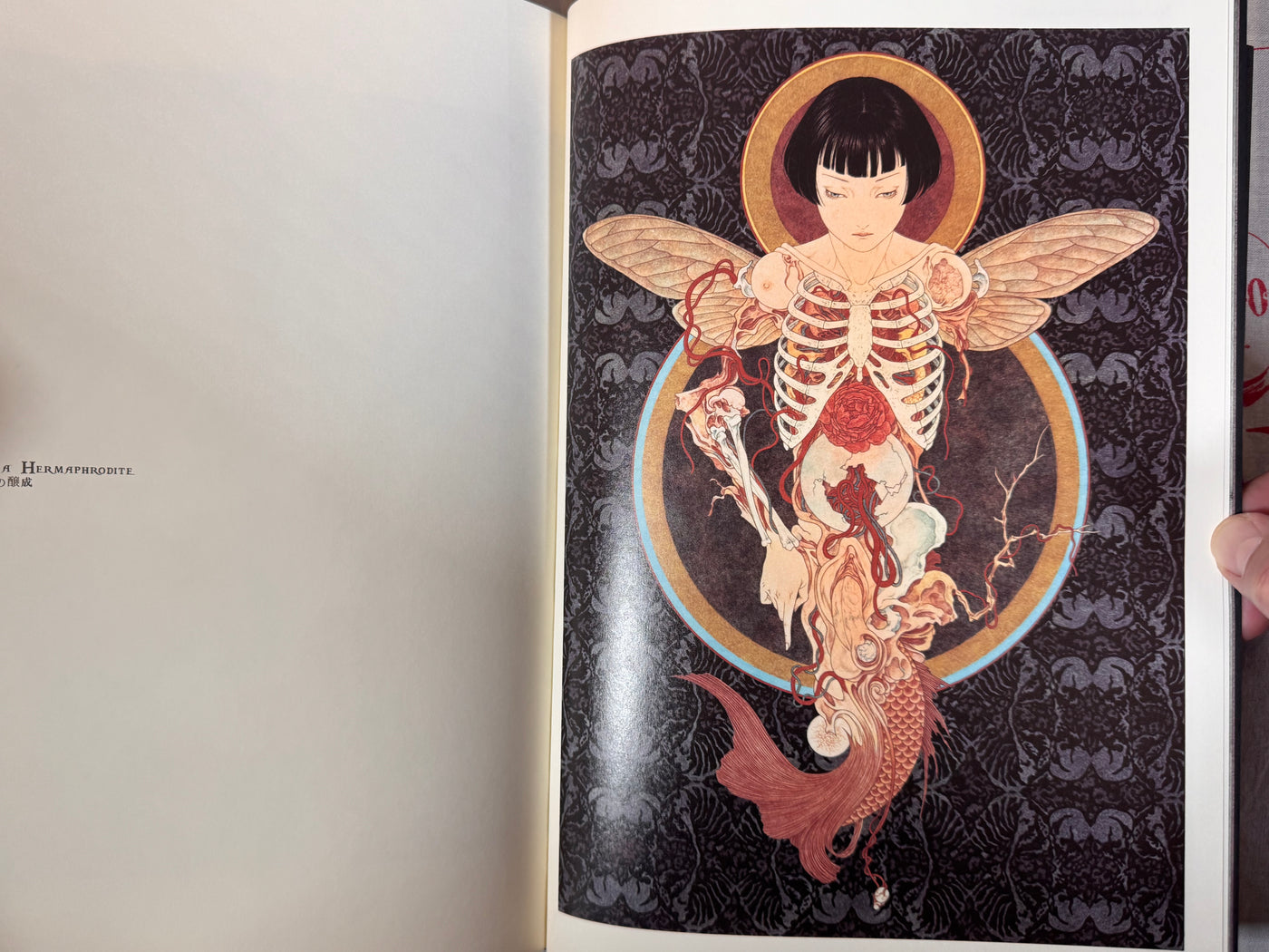 SIGNED Necrophantasmagoria Vanitas revised edition by Yamamoto Takato - Hardcover (2015)
